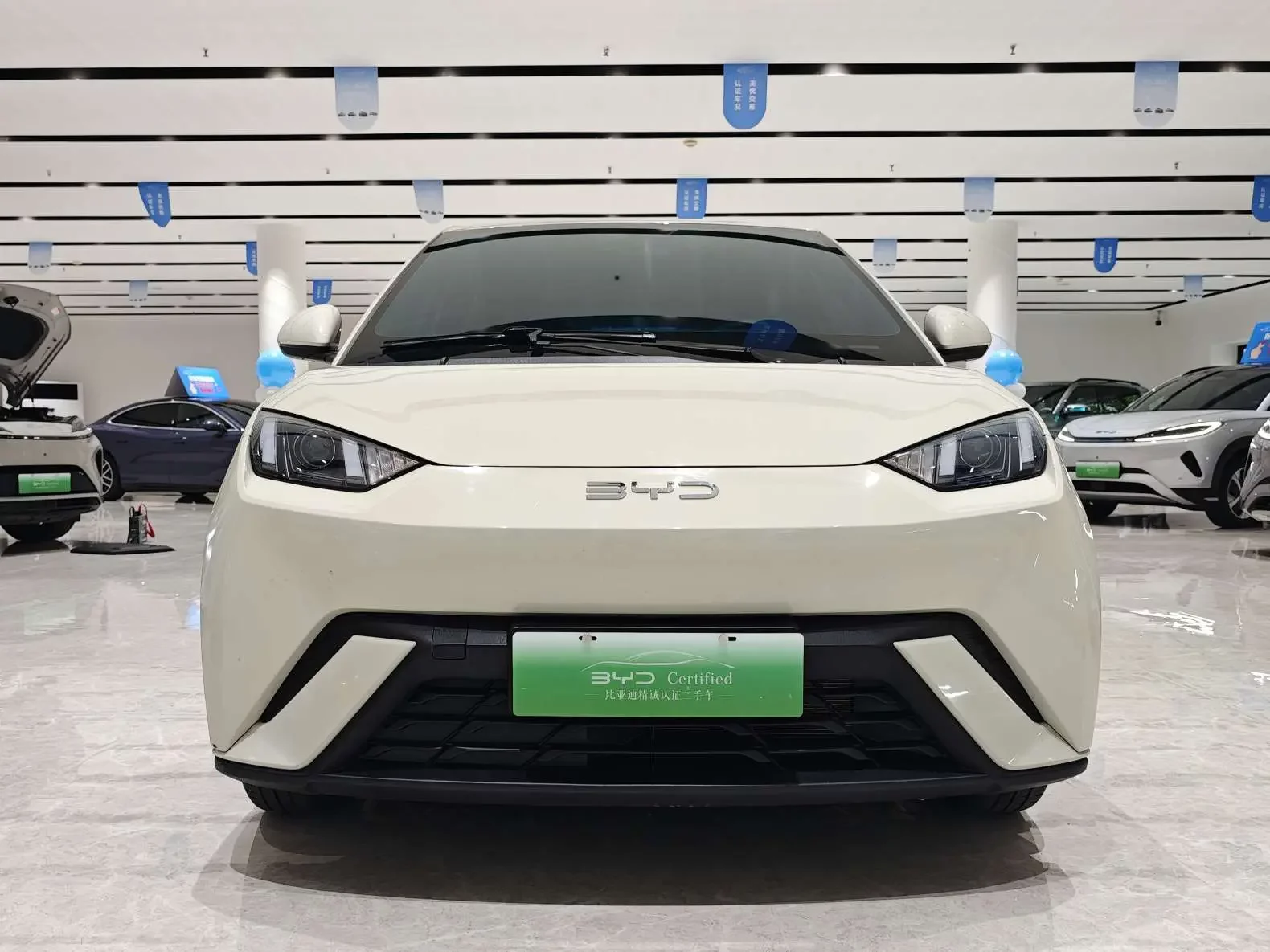 BYD seagull