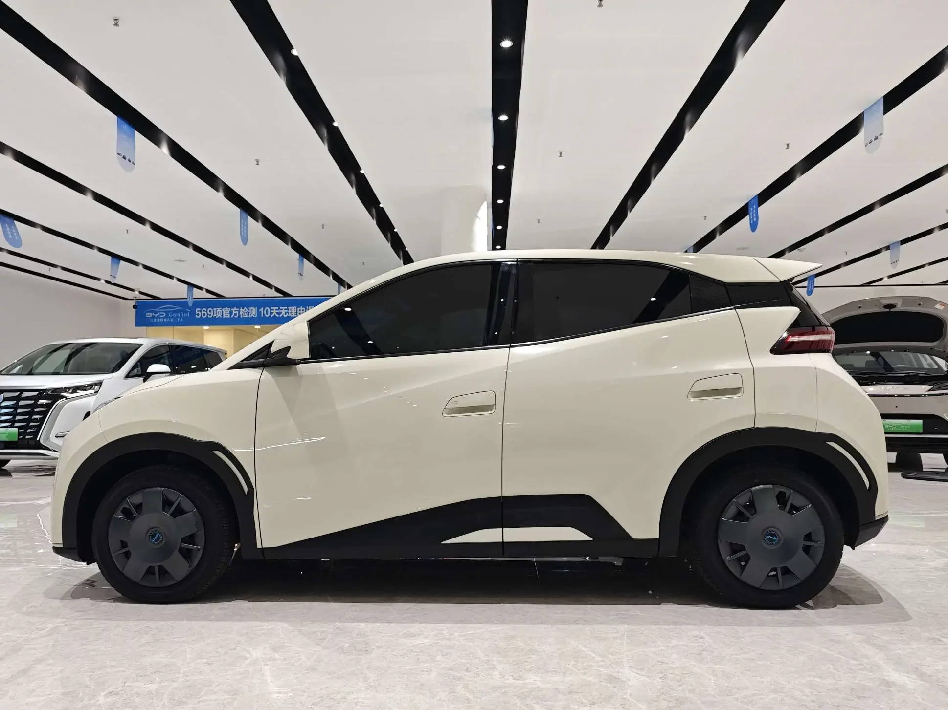 BYD seagull
