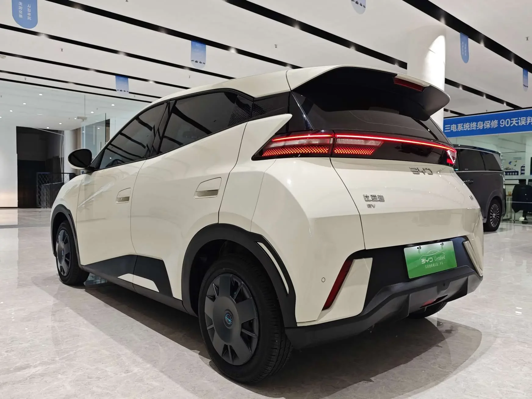 BYD seagull