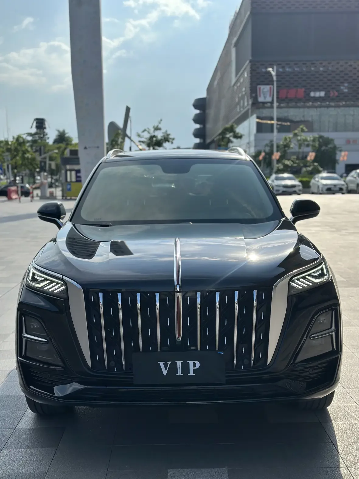 Hongqi HS5