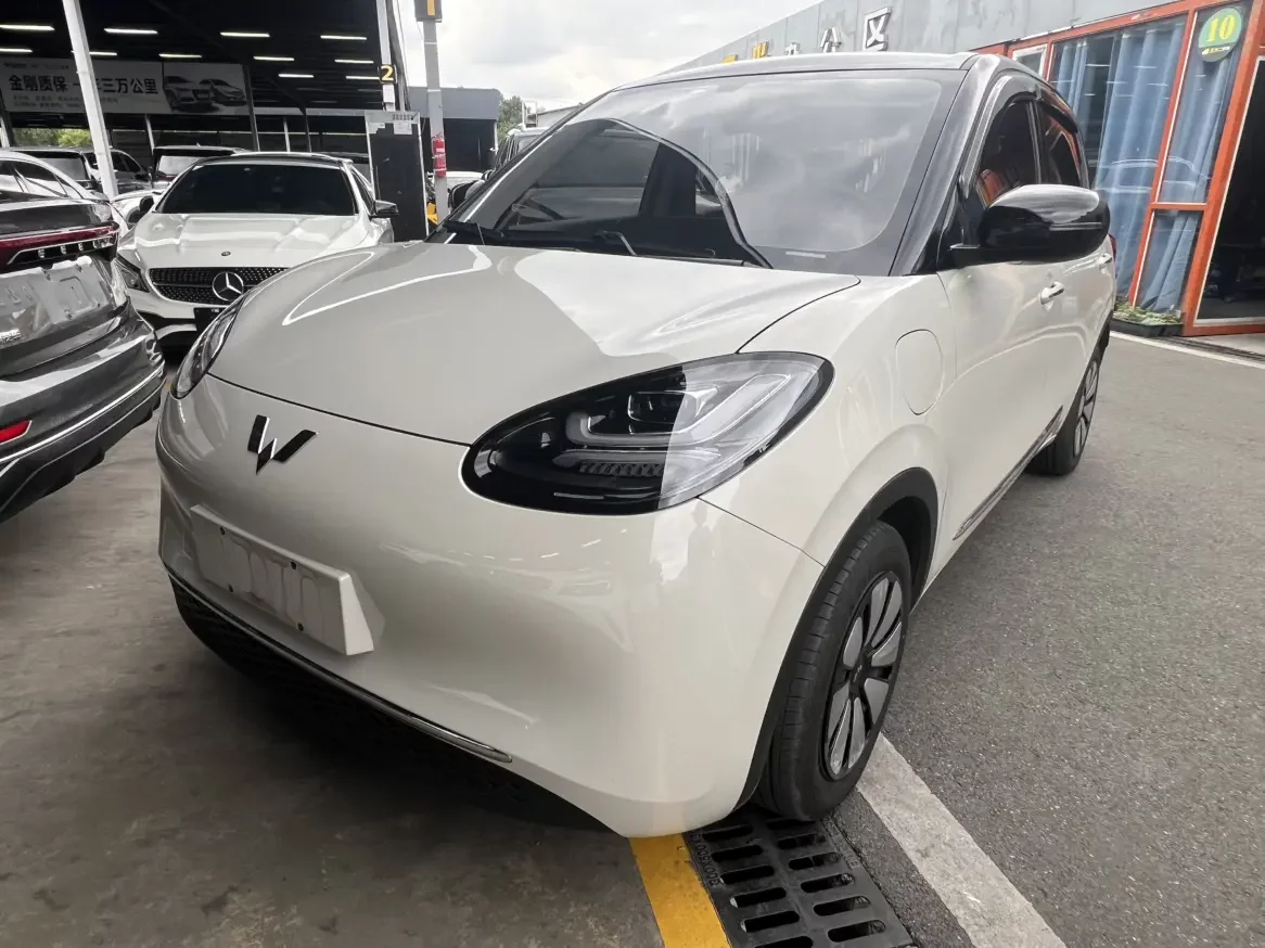 Wuling Bingo