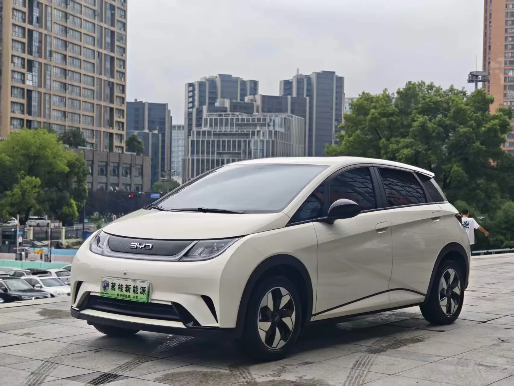 BYD dolphin