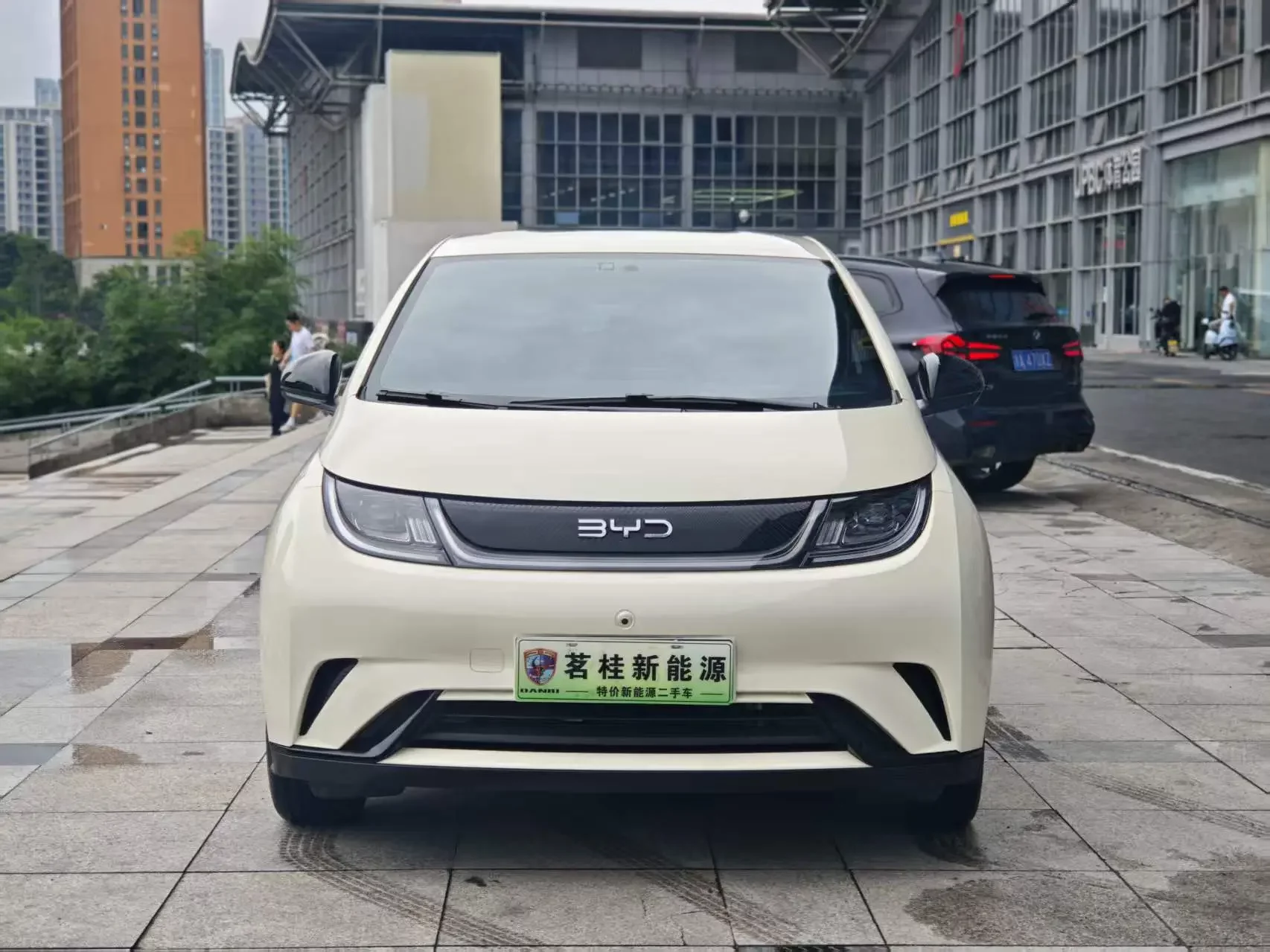 BYD dolphin