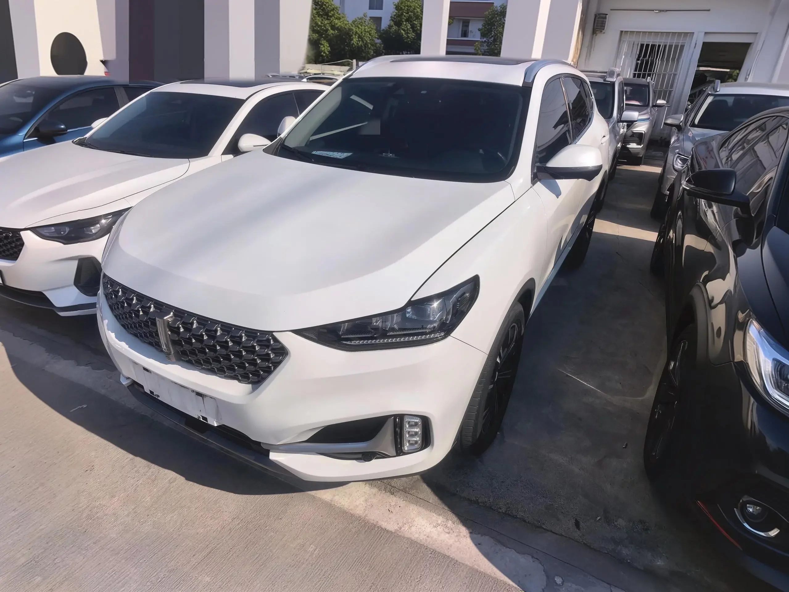 Wey Wei brand VV6