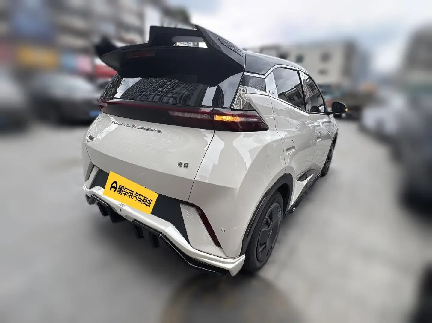 BYD seagull