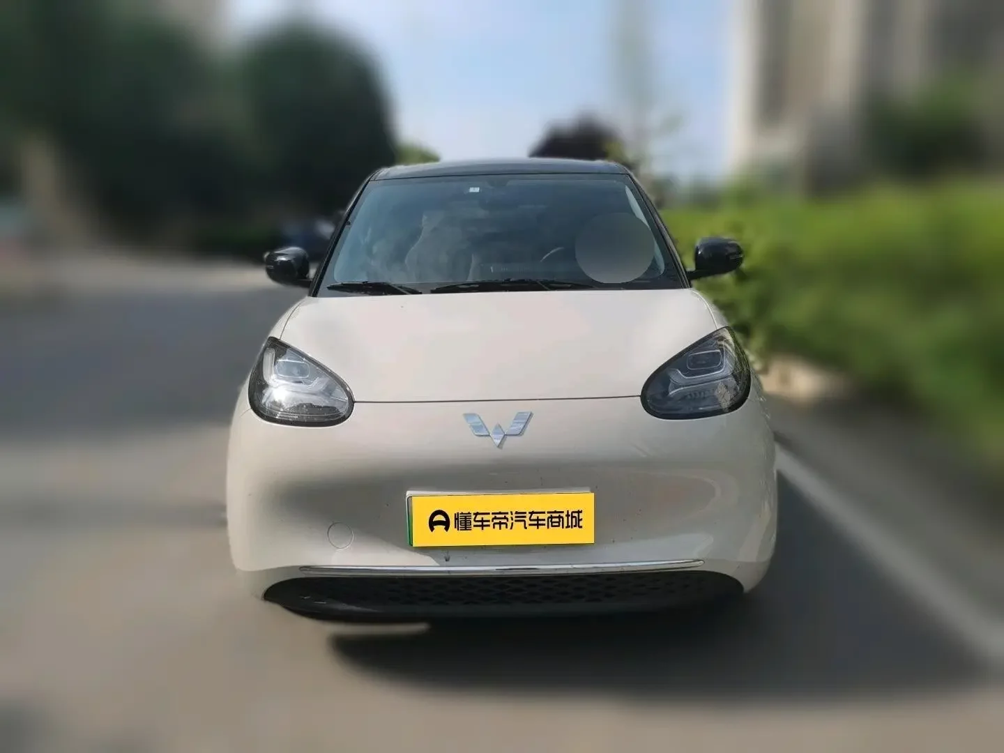 Wuling Bingo