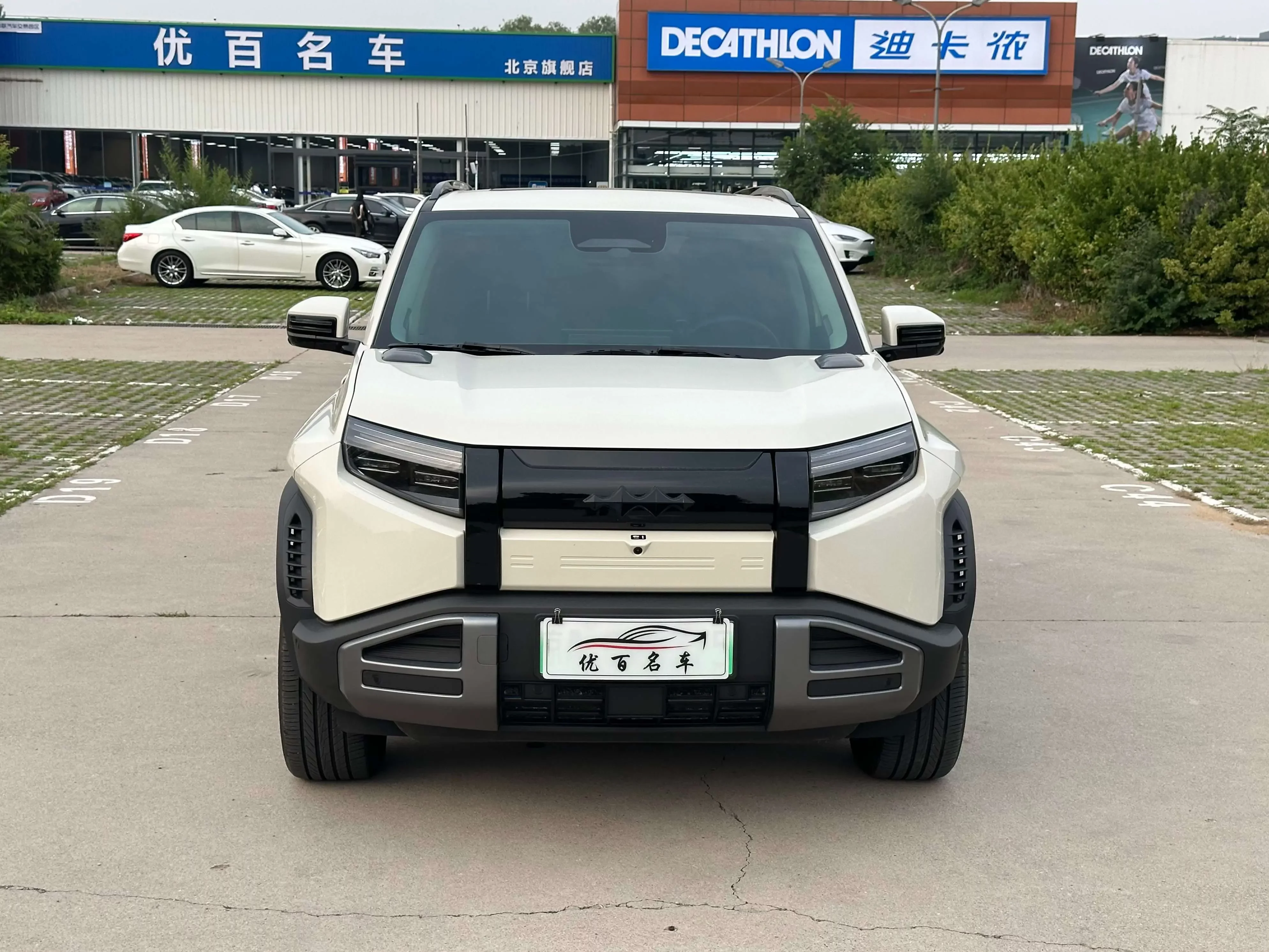 BYD Leopard Titanium 3