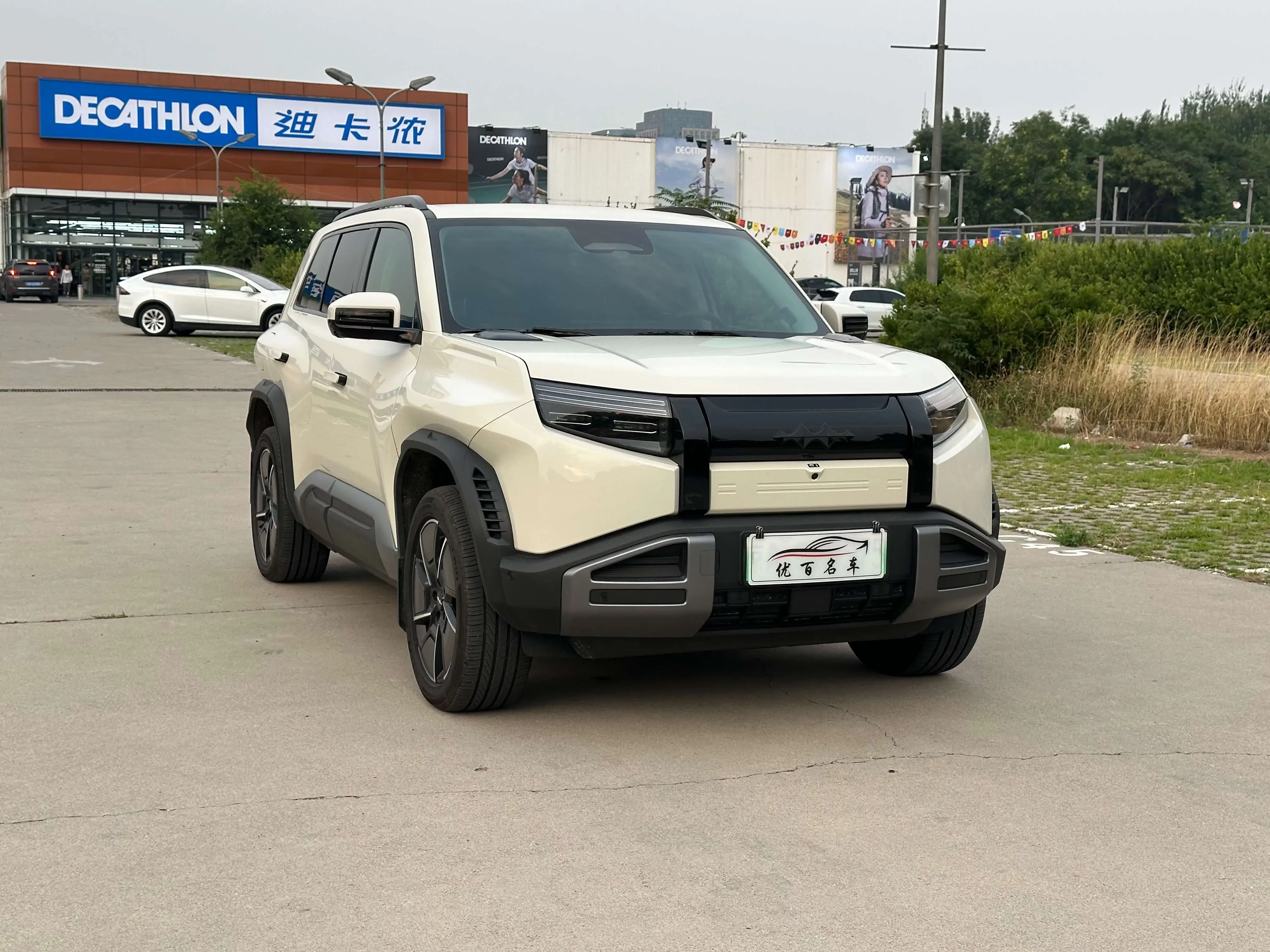 BYD Leopard Titanium 3
