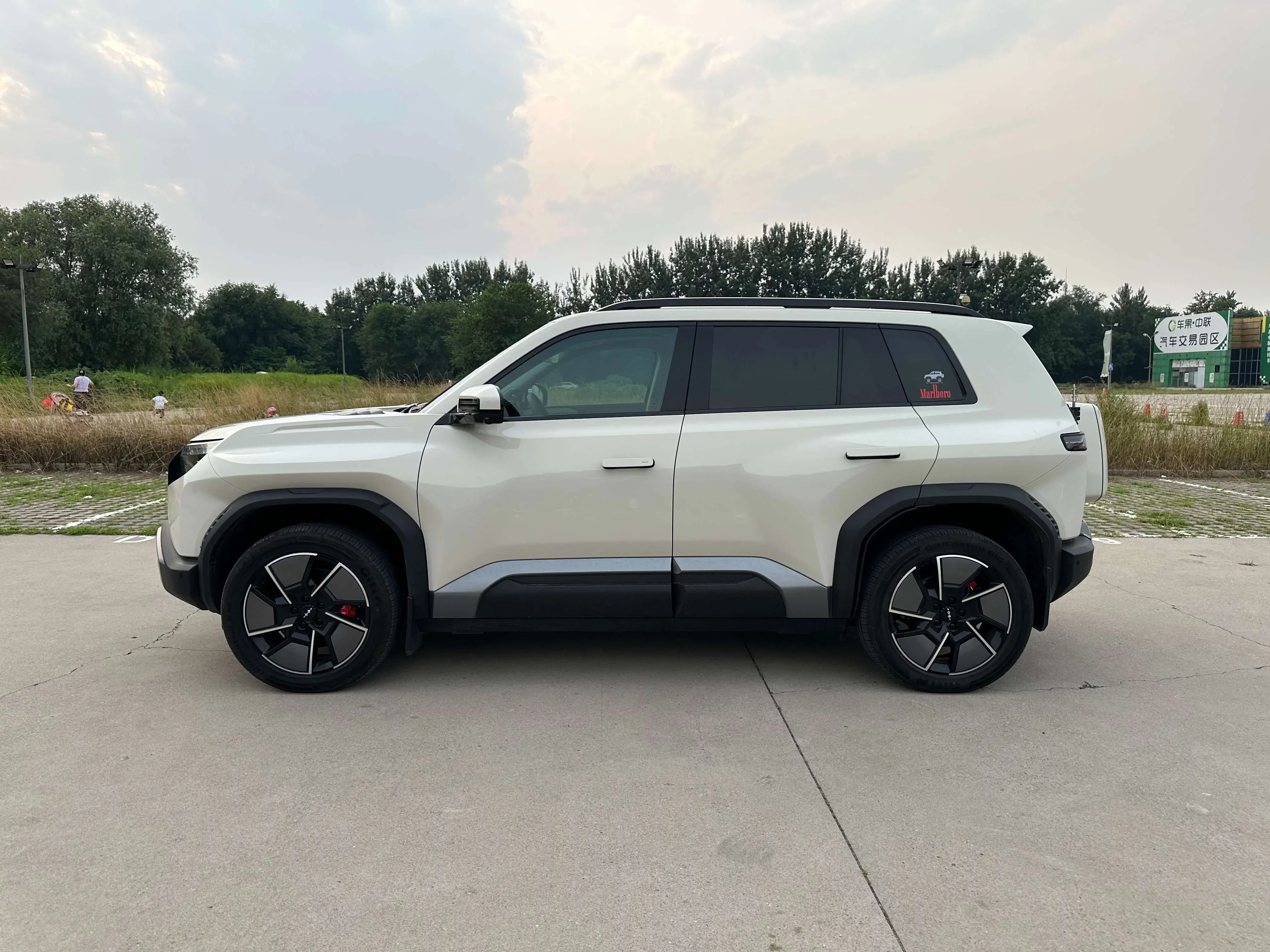 BYD Leopard Titanium 3