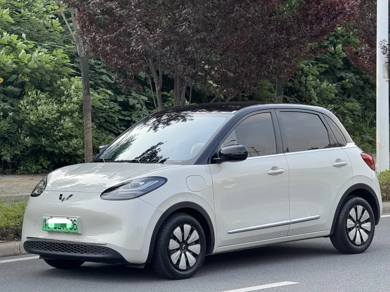 Wuling Bingo