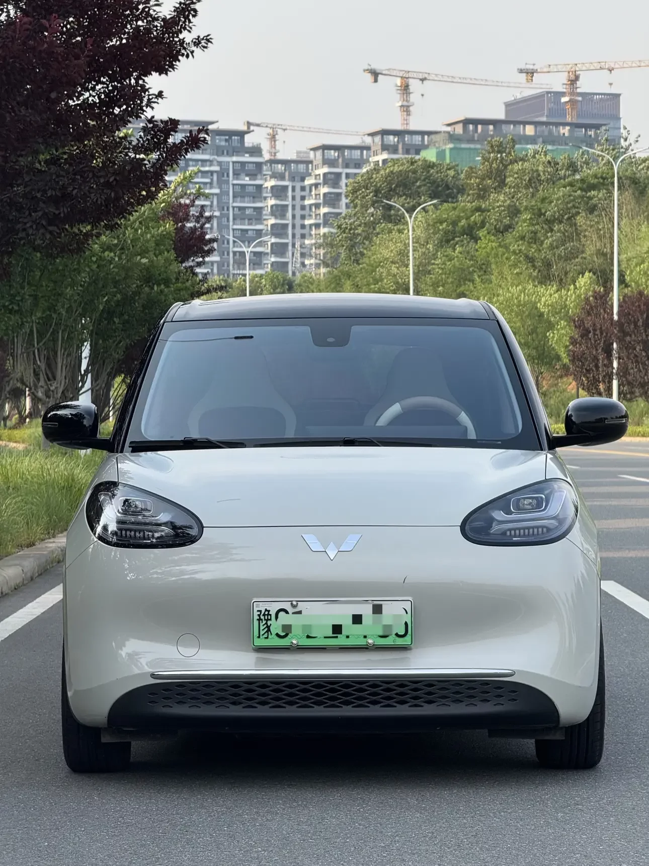 Wuling Bingo