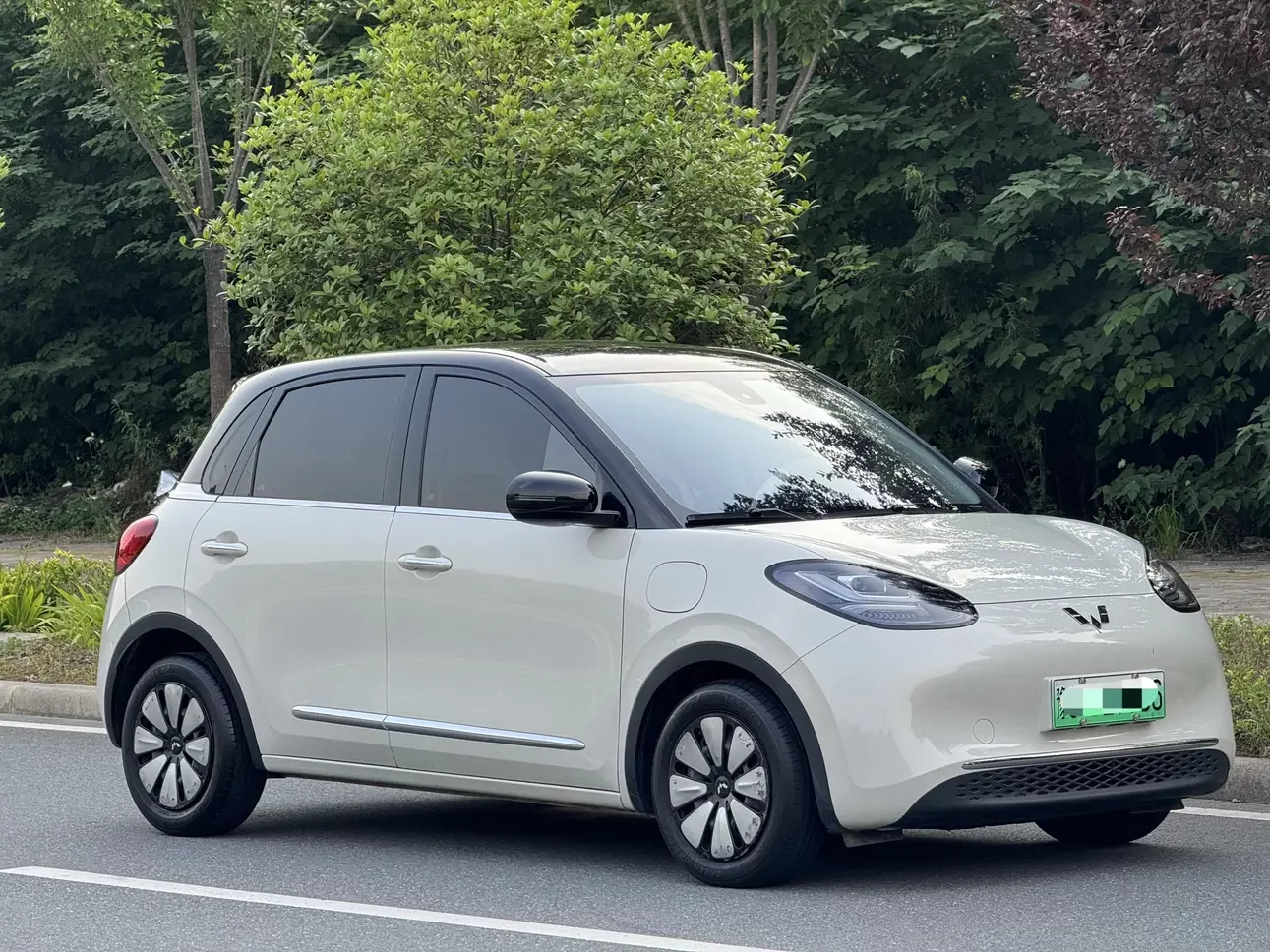 Wuling Bingo