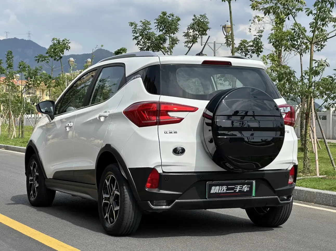 BYD Yuan Pro