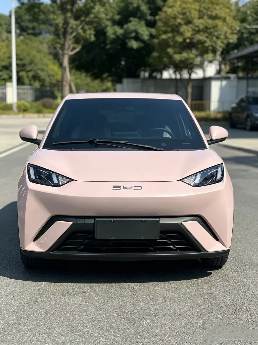 BYD seagull