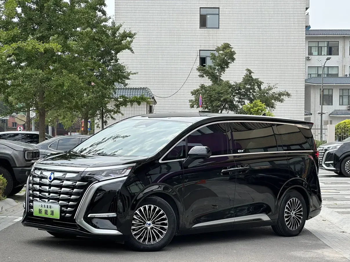 Denza D9 DM