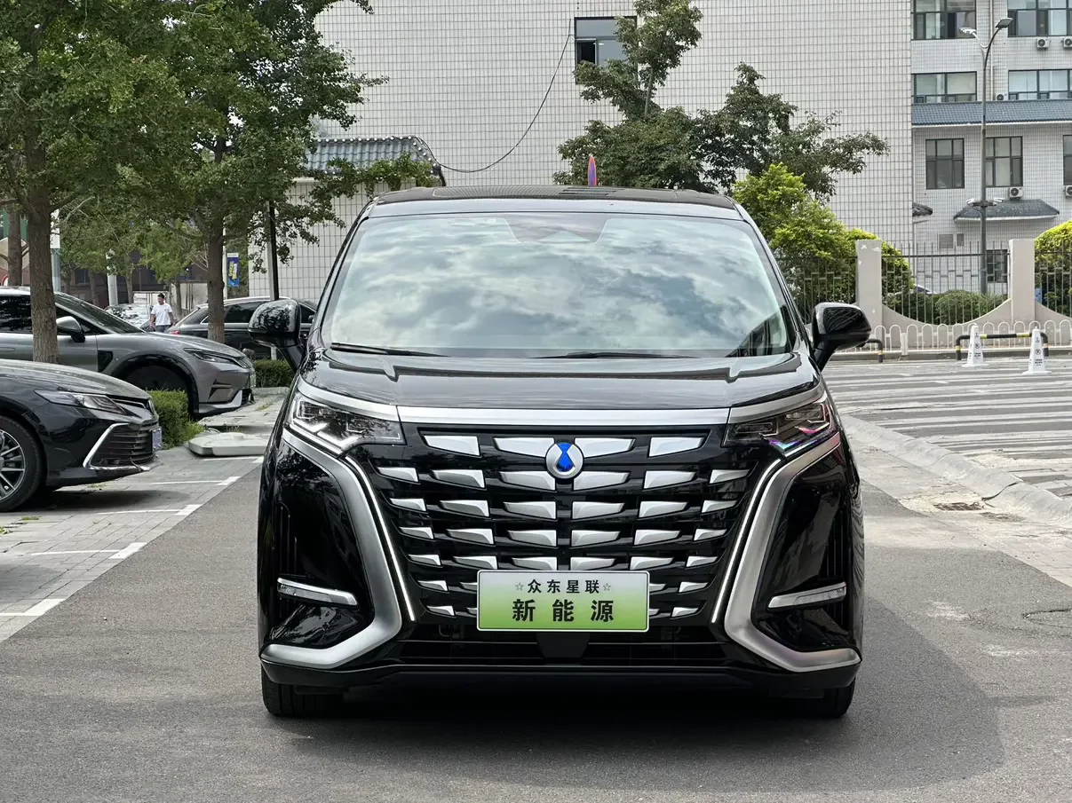 Denza D9 DM