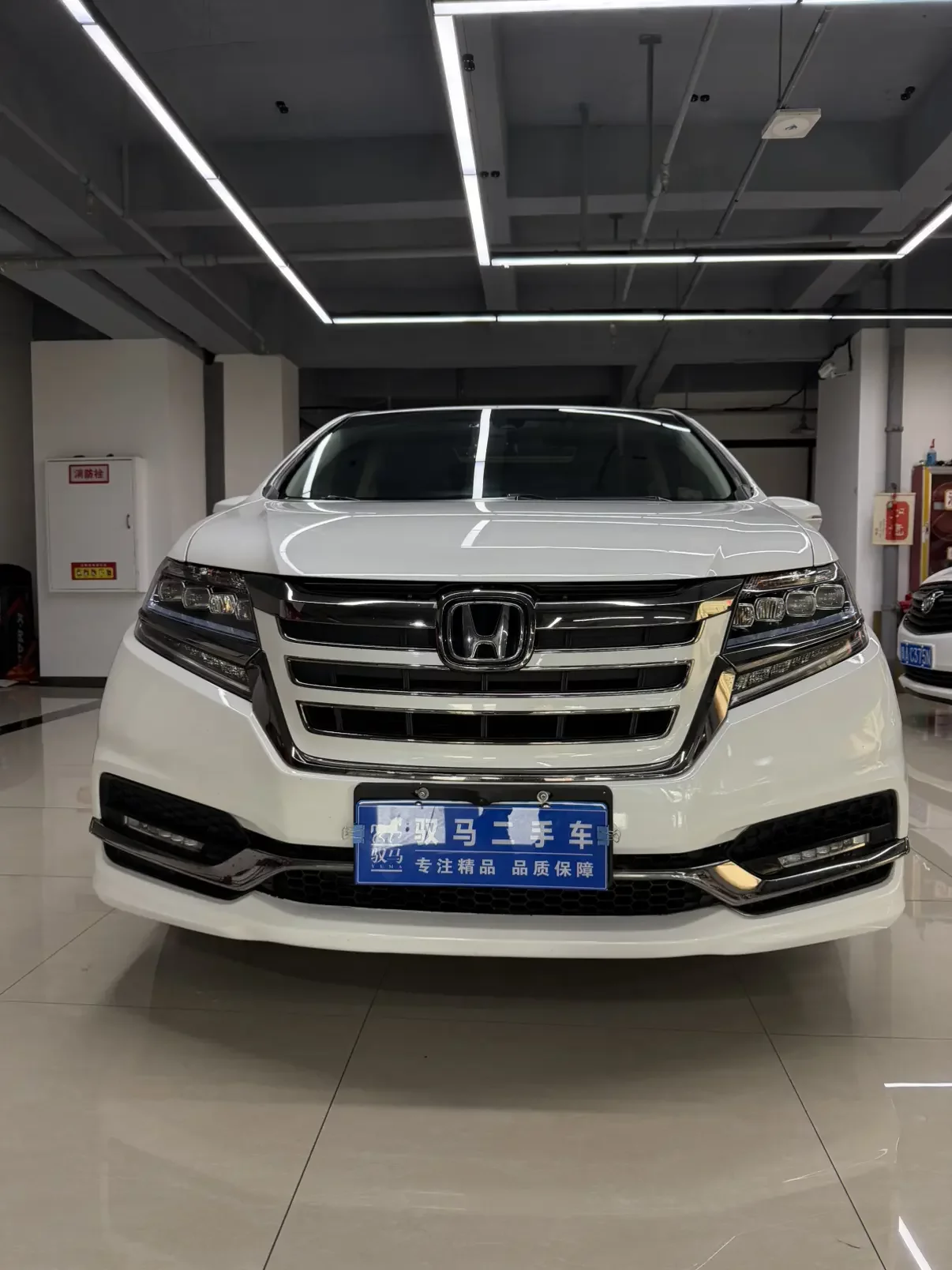 Honda Elysion