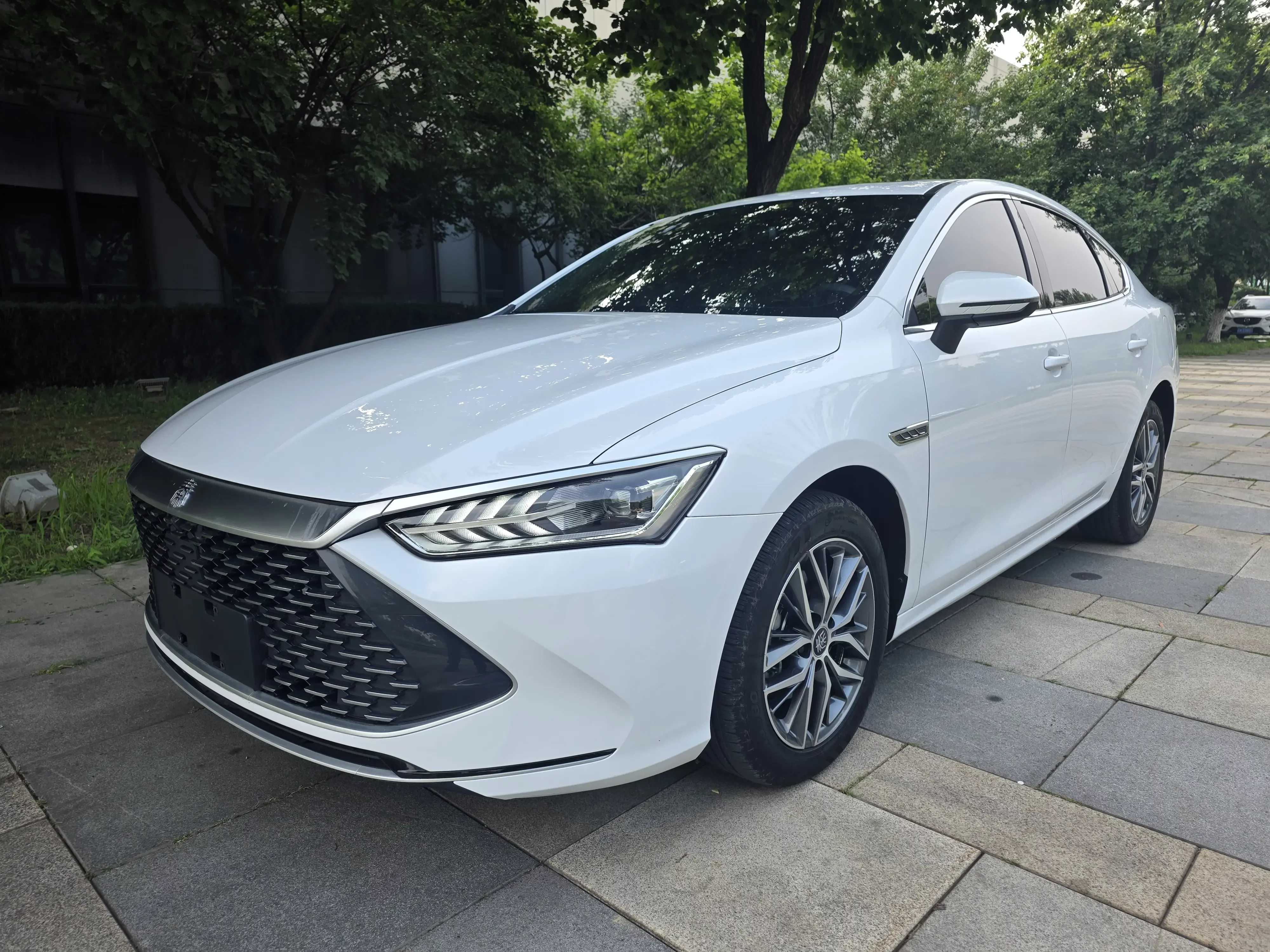 BYD Qin PLUS DM