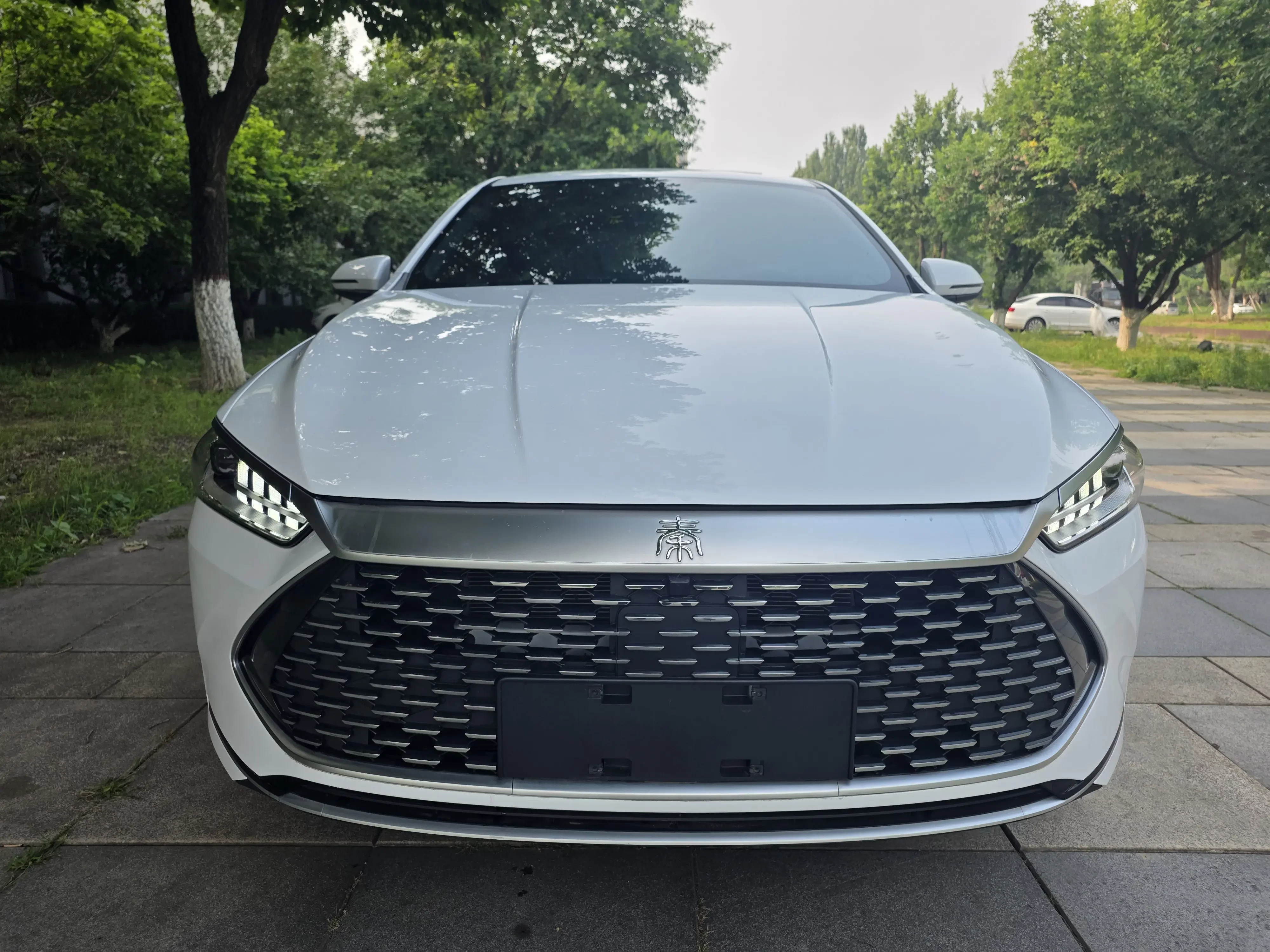 BYD Qin PLUS DM