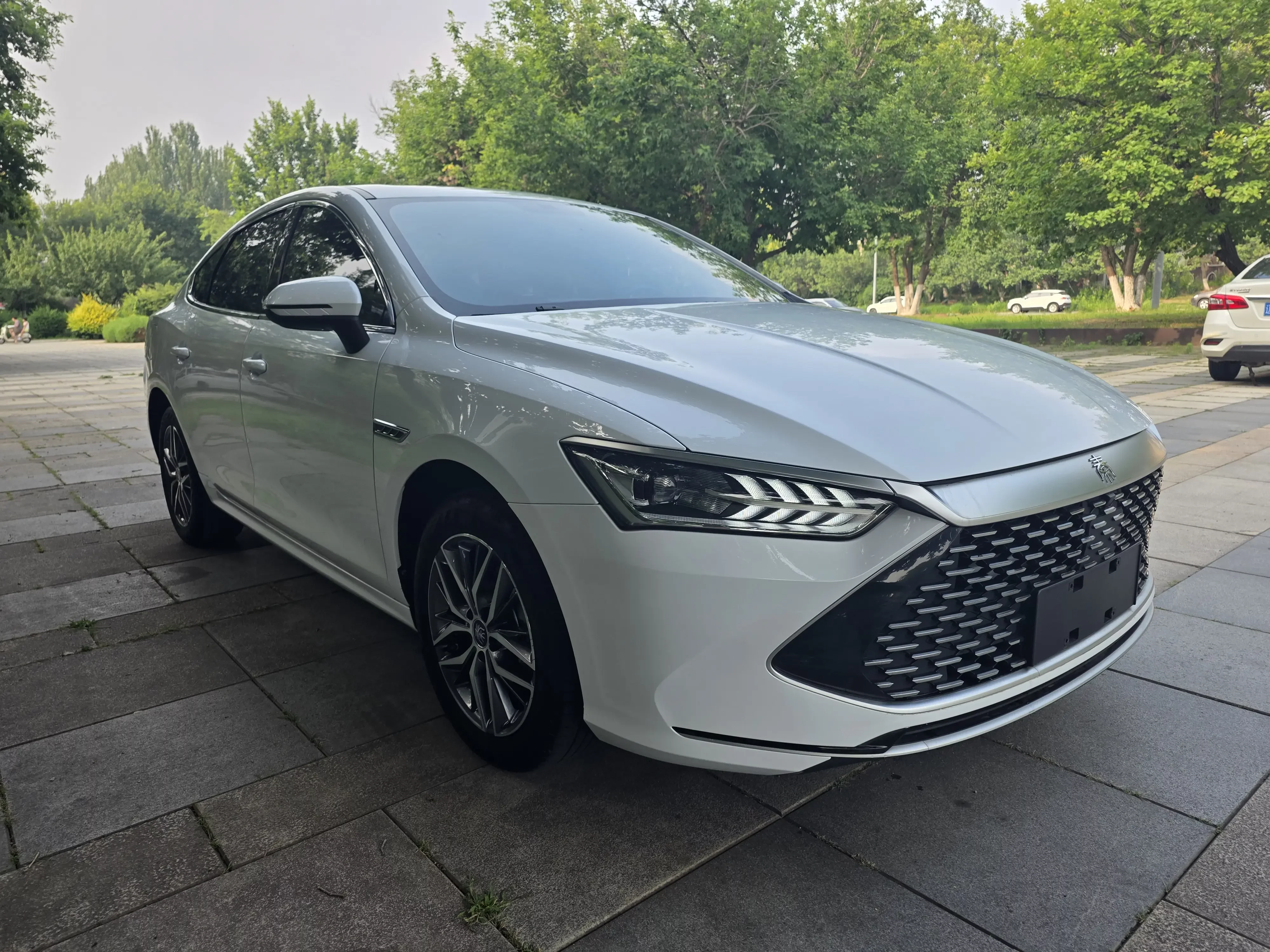 BYD Qin PLUS DM