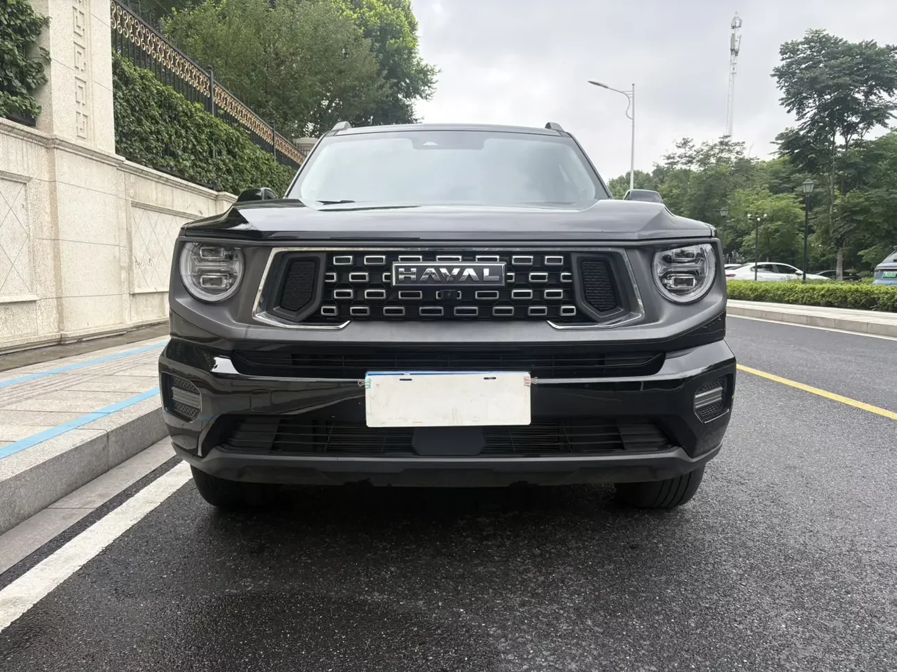 Haval H-Dog
