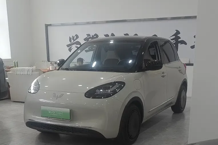 Wuling Bingo