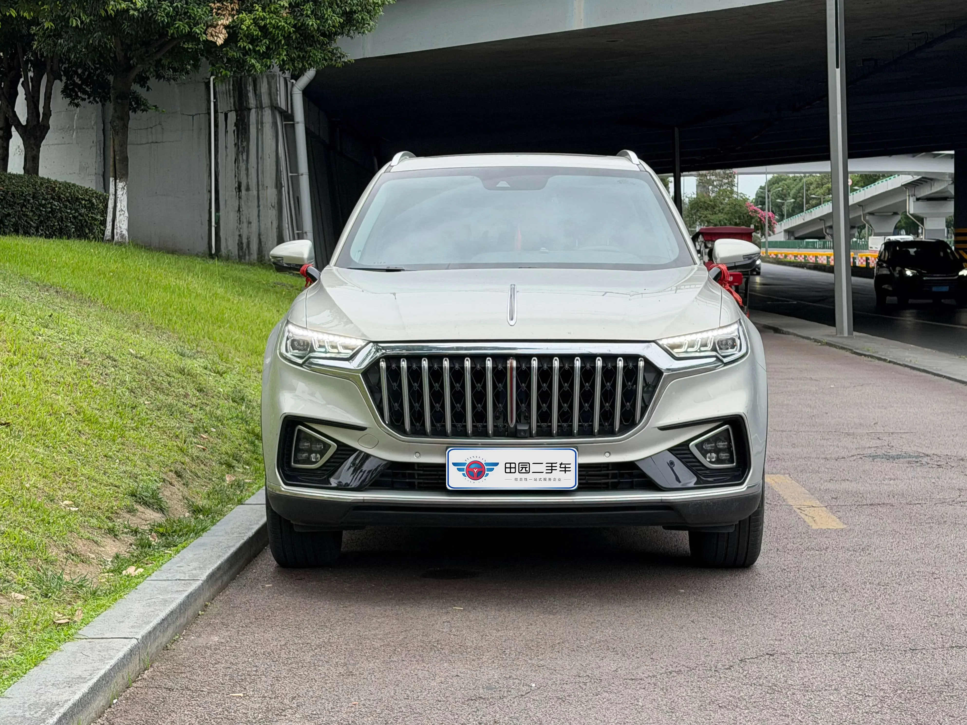 Hongqi HS5