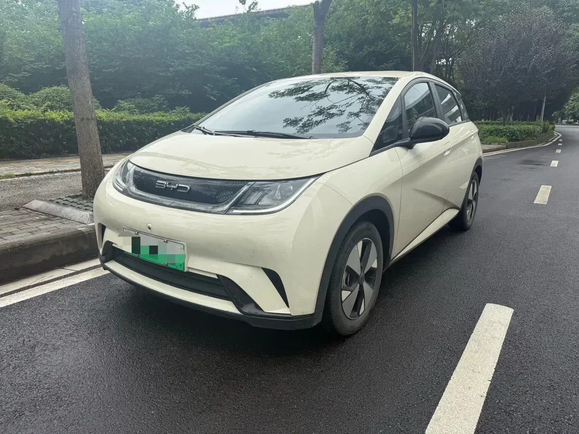 BYD dolphin
