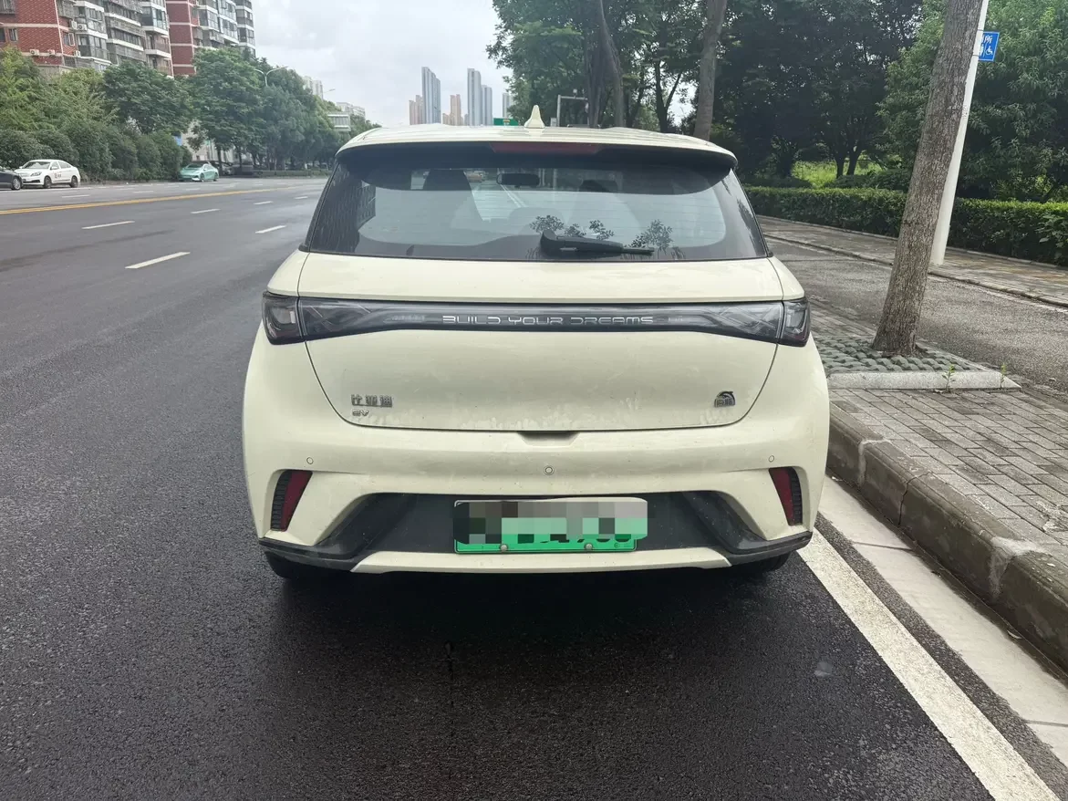BYD dolphin