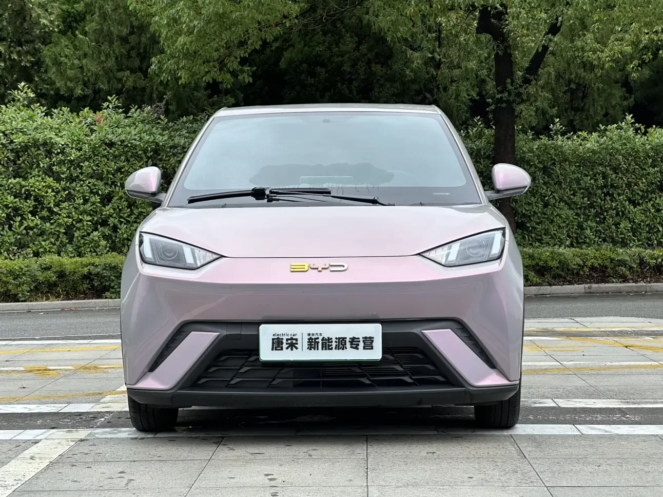BYD seagull