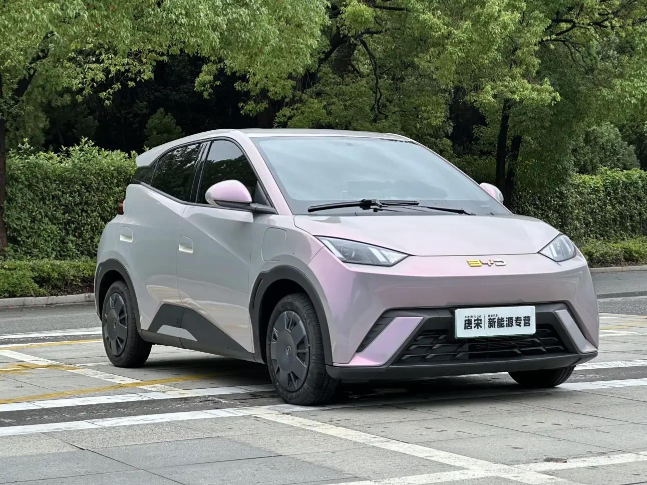 BYD seagull