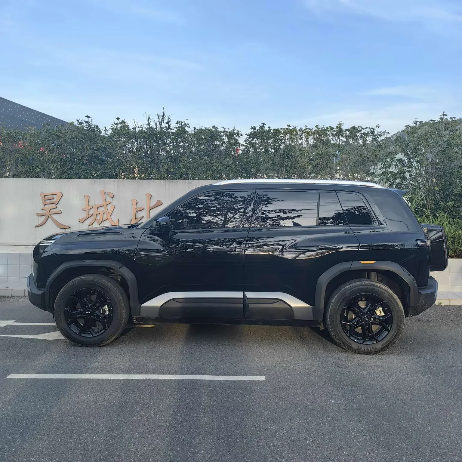 BYD Leopard Titanium 3