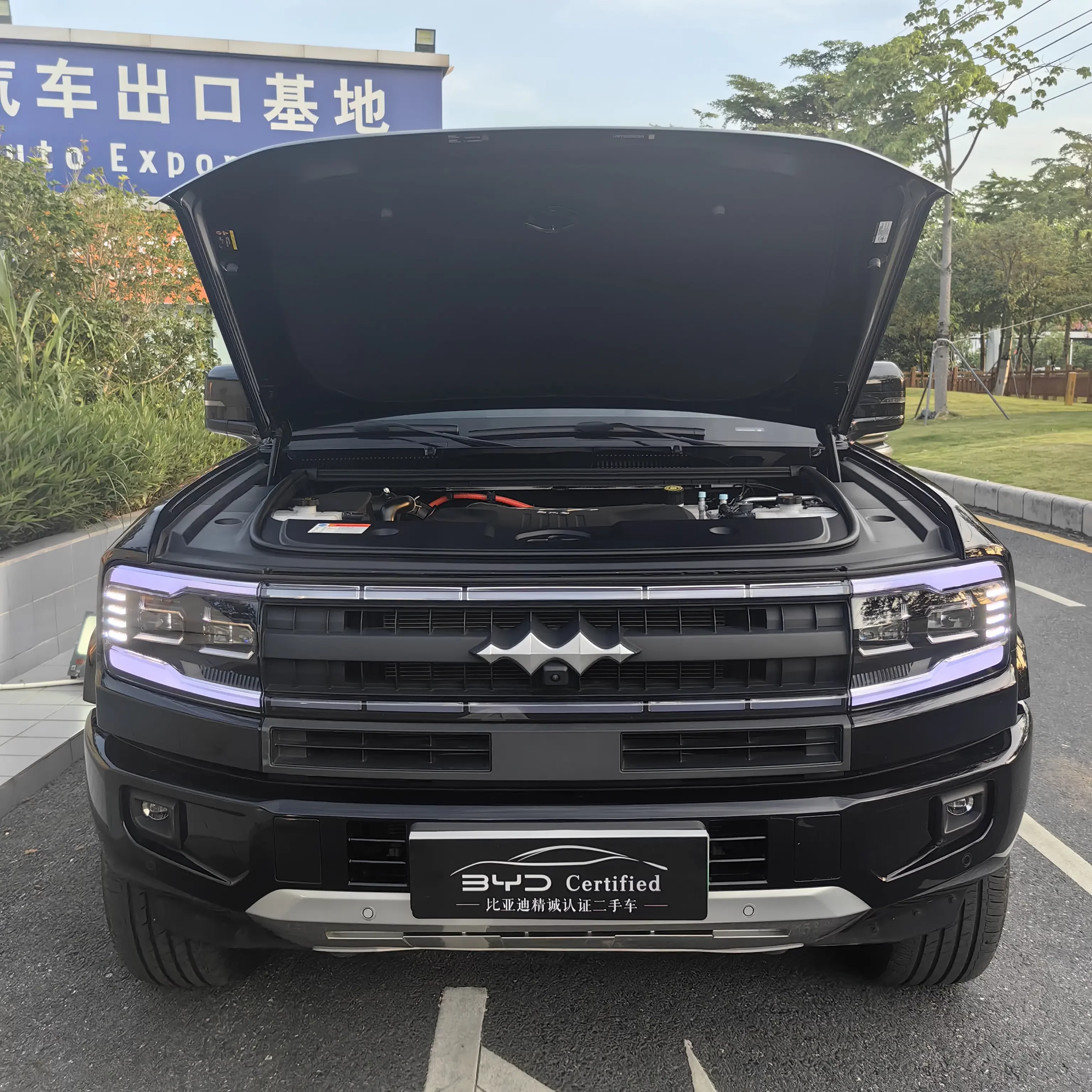 BYD Leopard Leopard 5