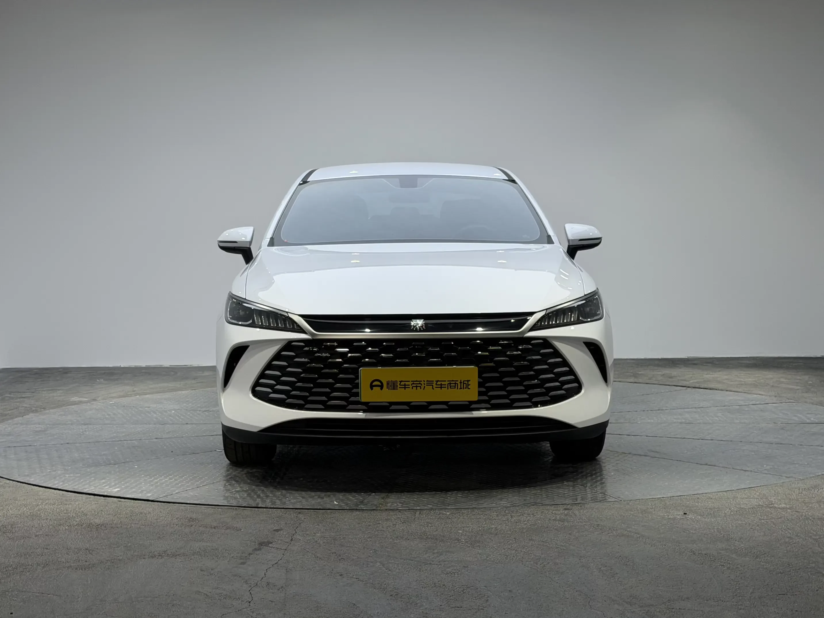 BYD Qin PLUS DM