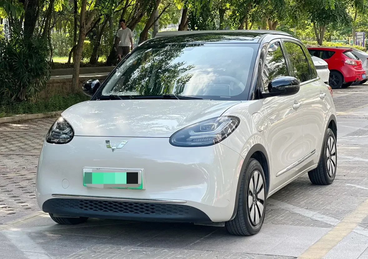 Wuling Bingo