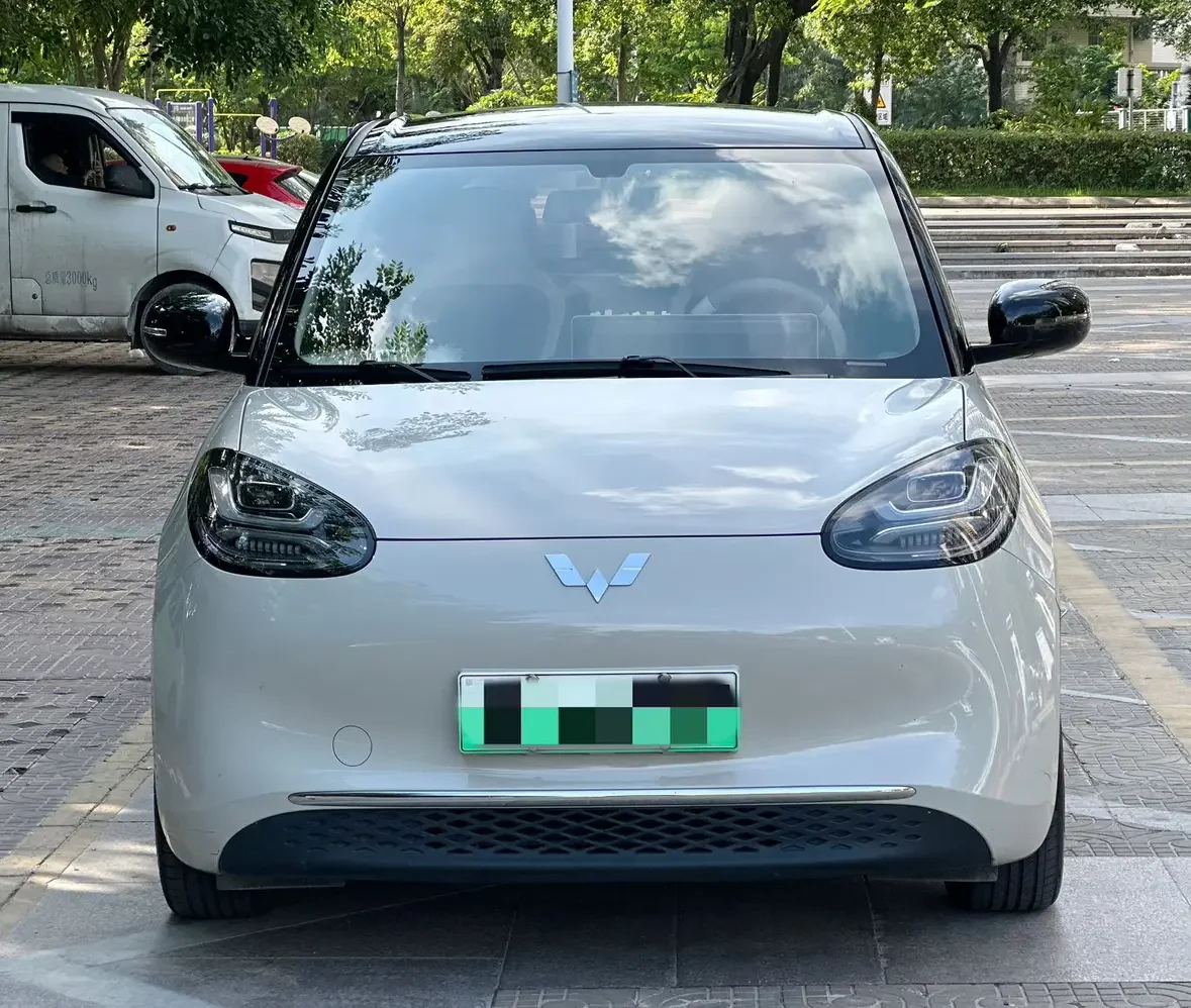 Wuling Bingo