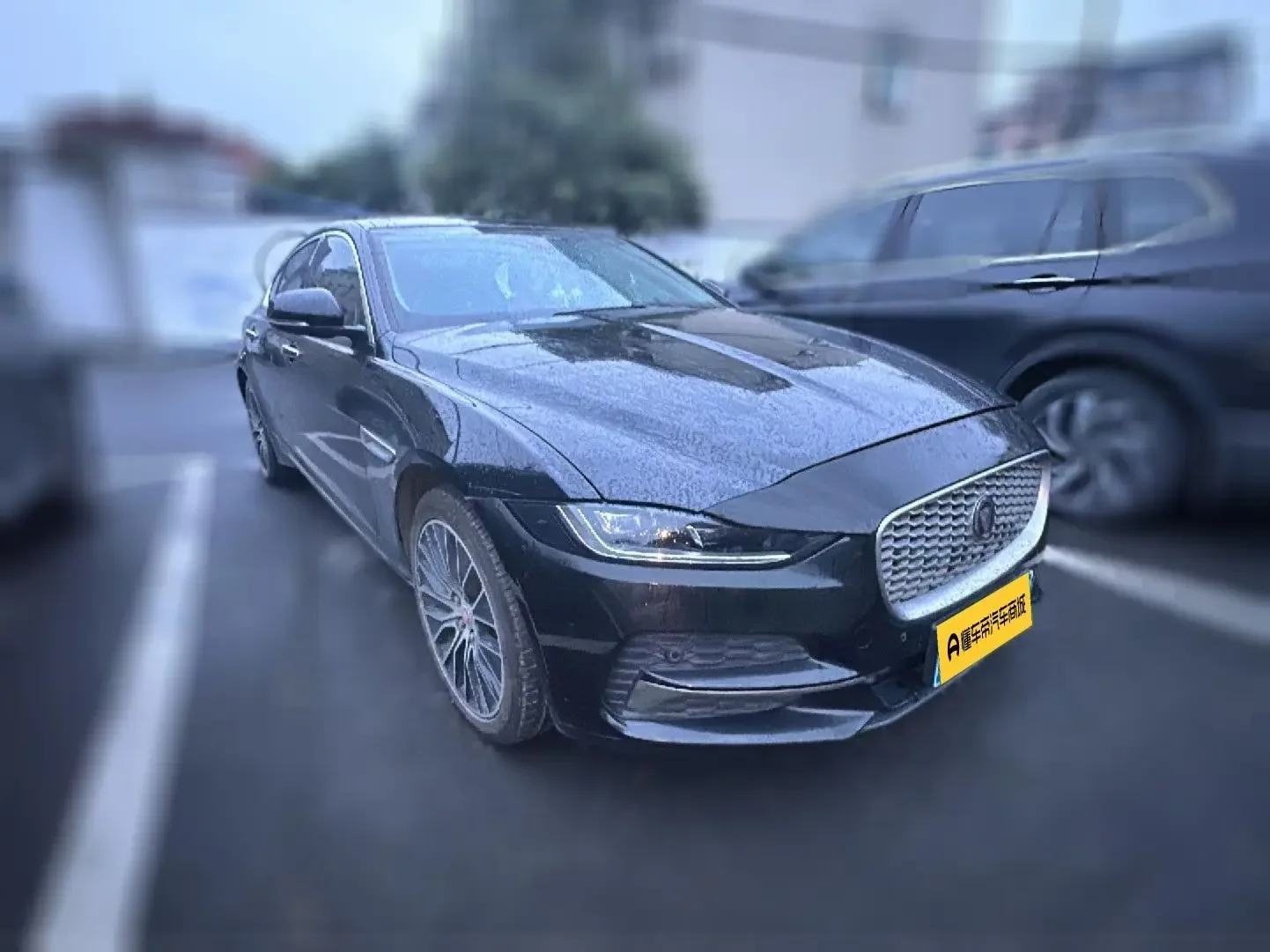 Jaguar XEL