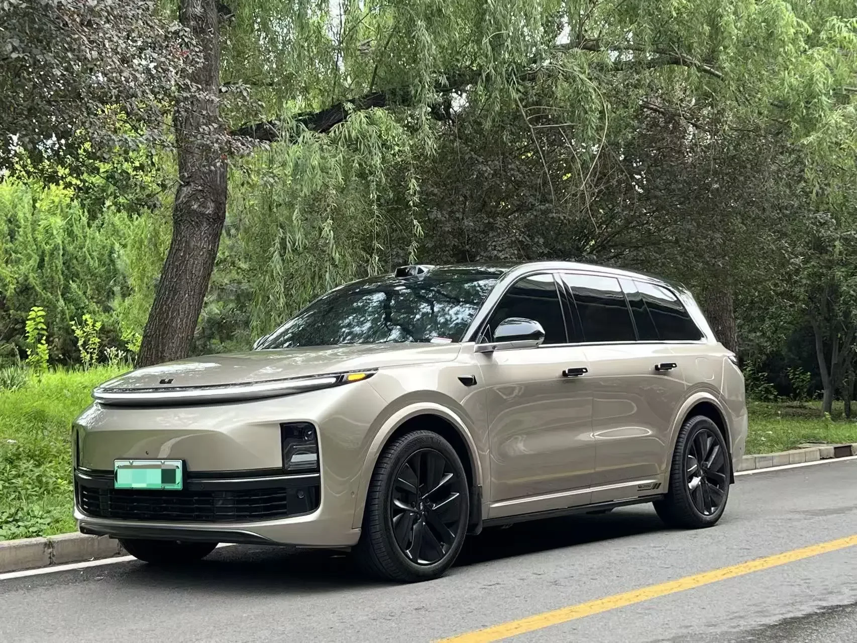 Lixiang L9
