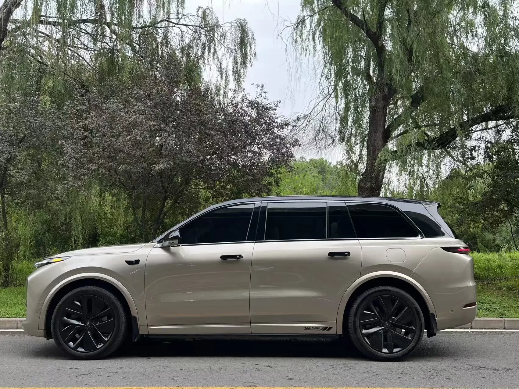 Lixiang L9