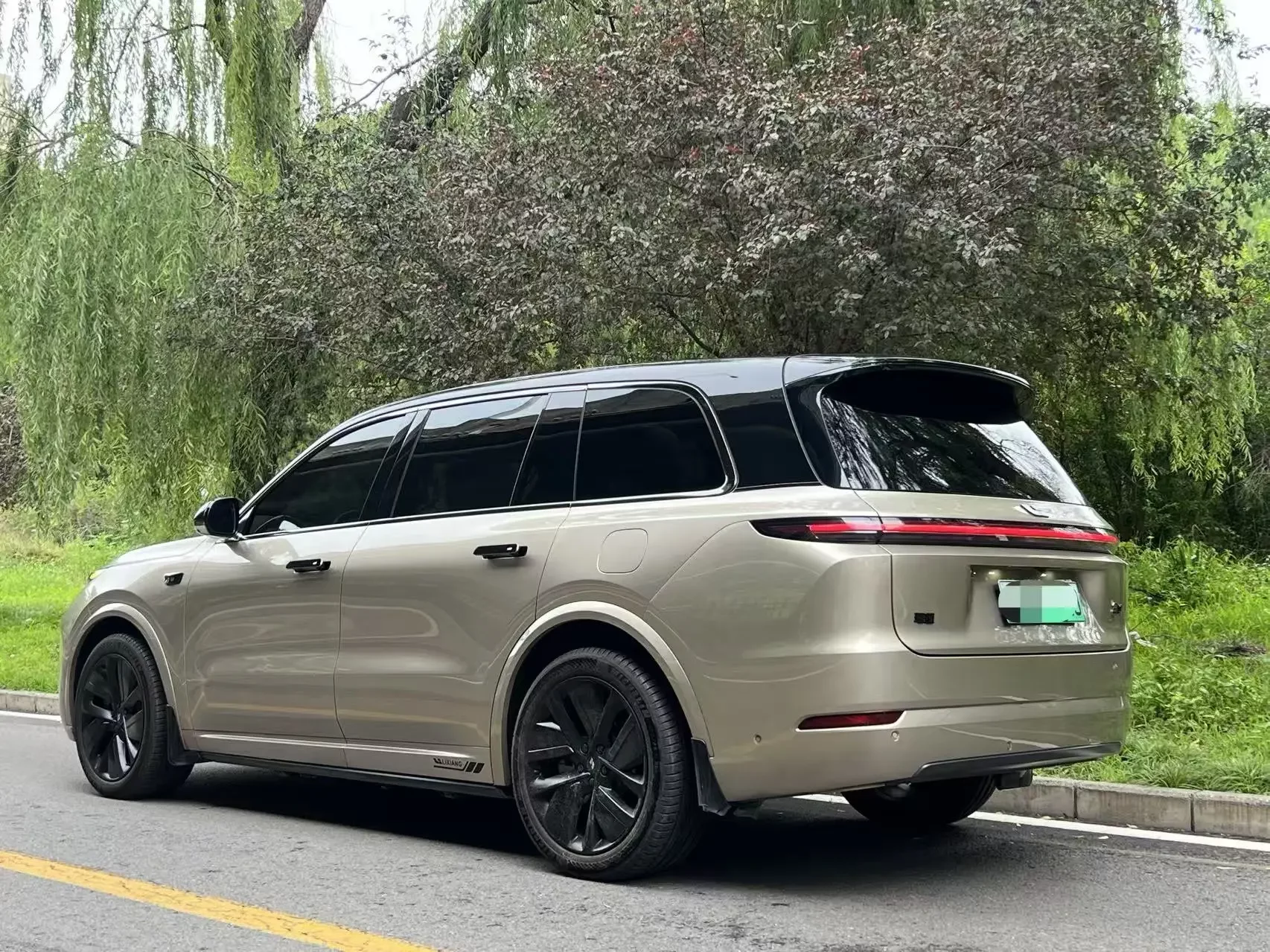 Lixiang L9