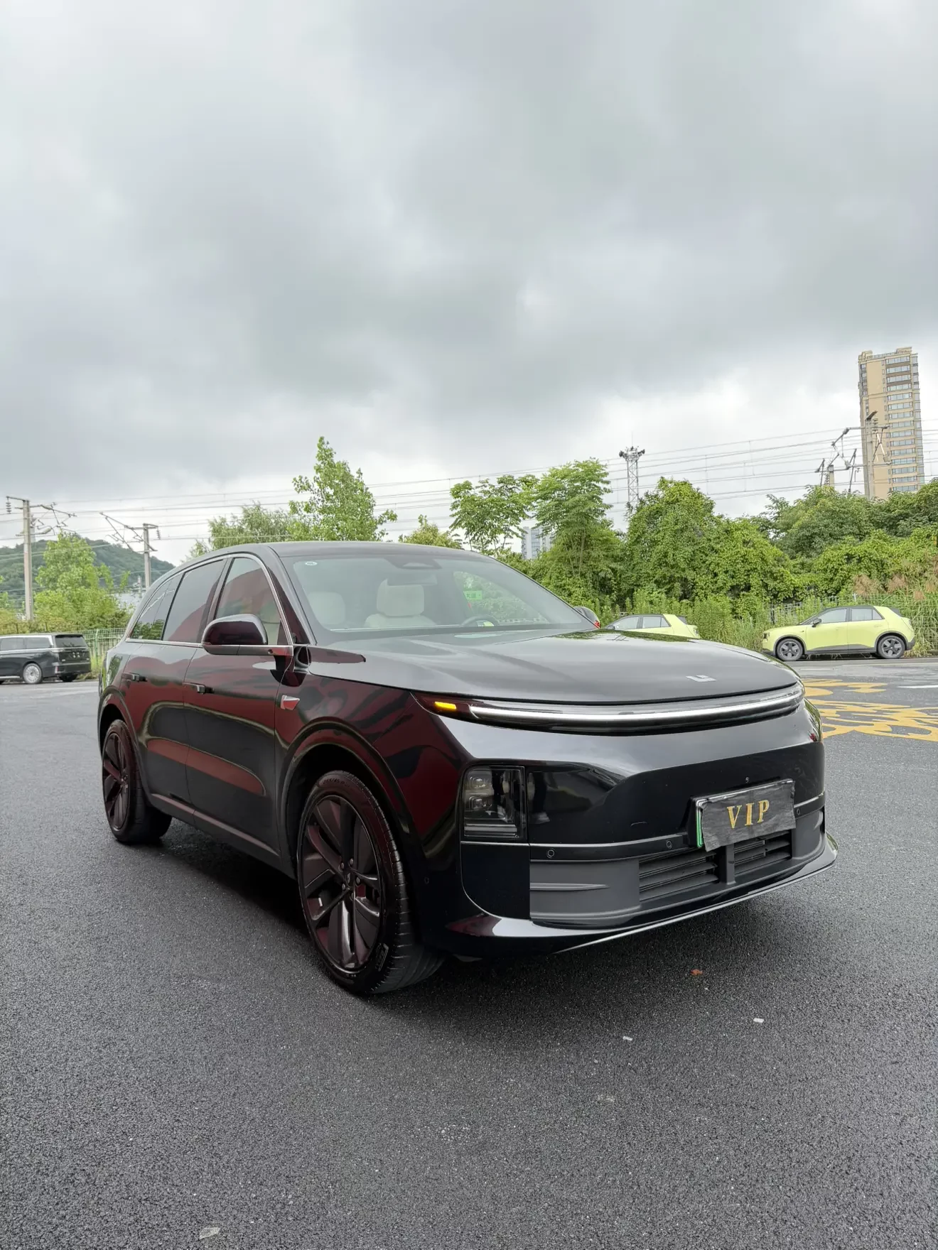 Lixiang L6