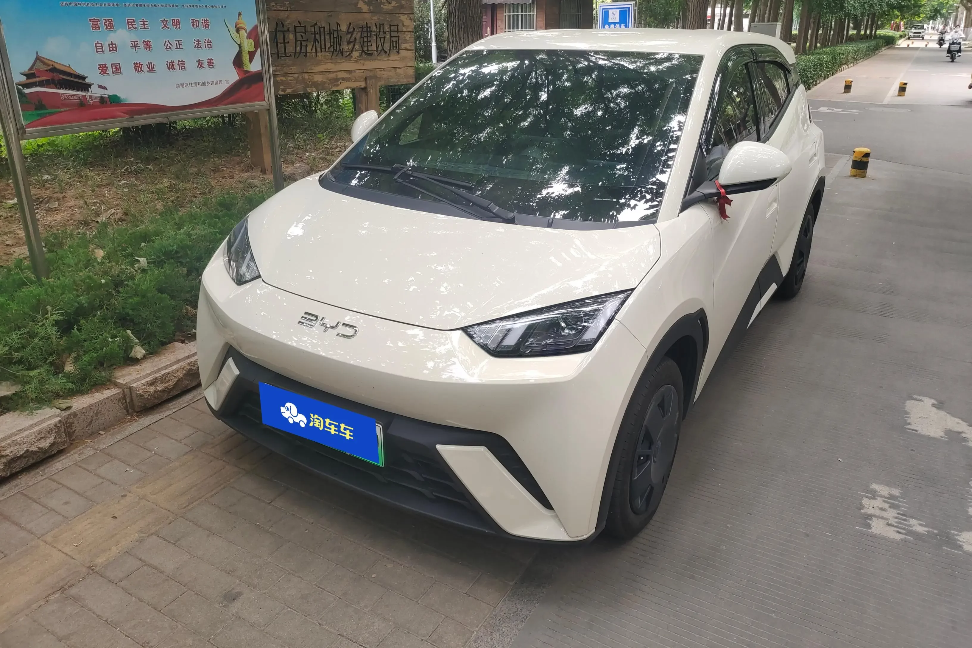 BYD seagull
