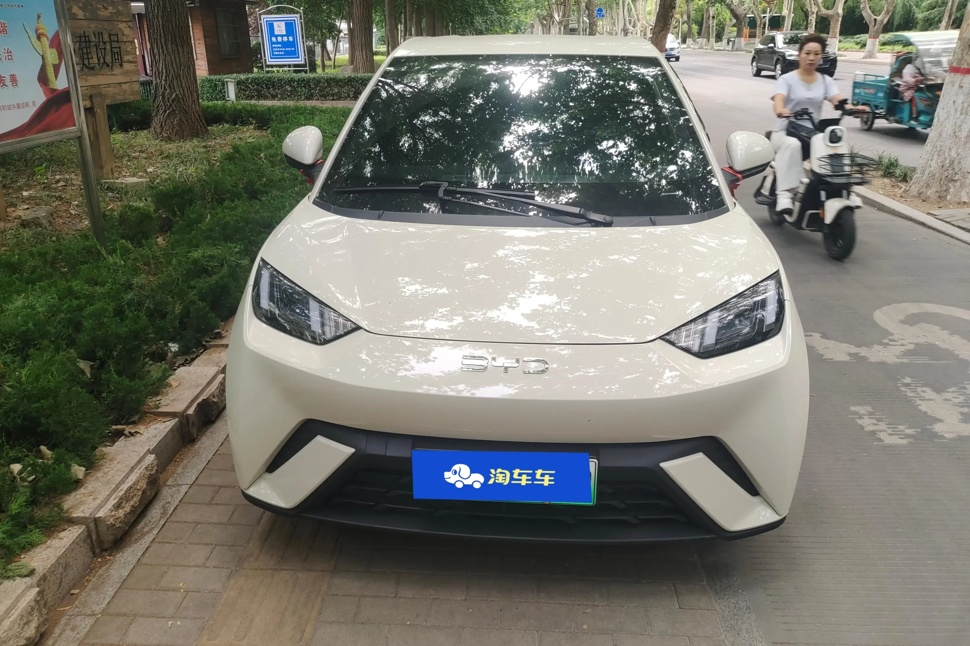 BYD seagull