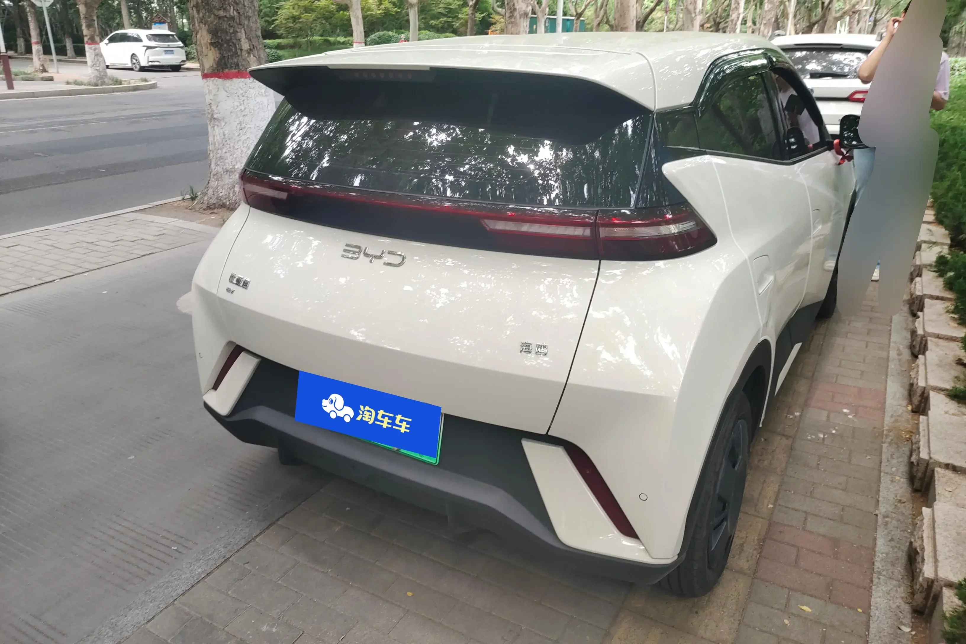BYD seagull