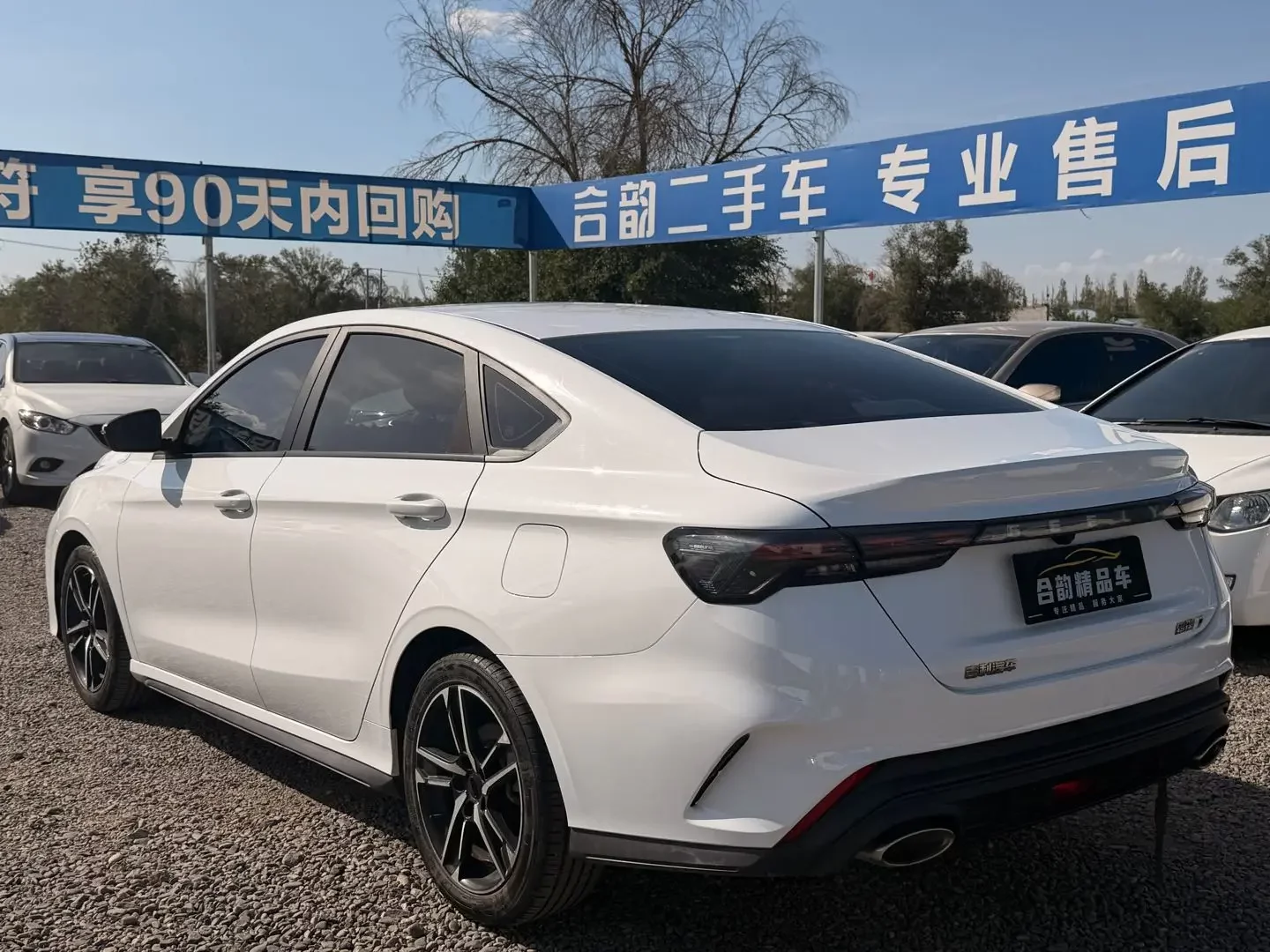 Geely Binrui