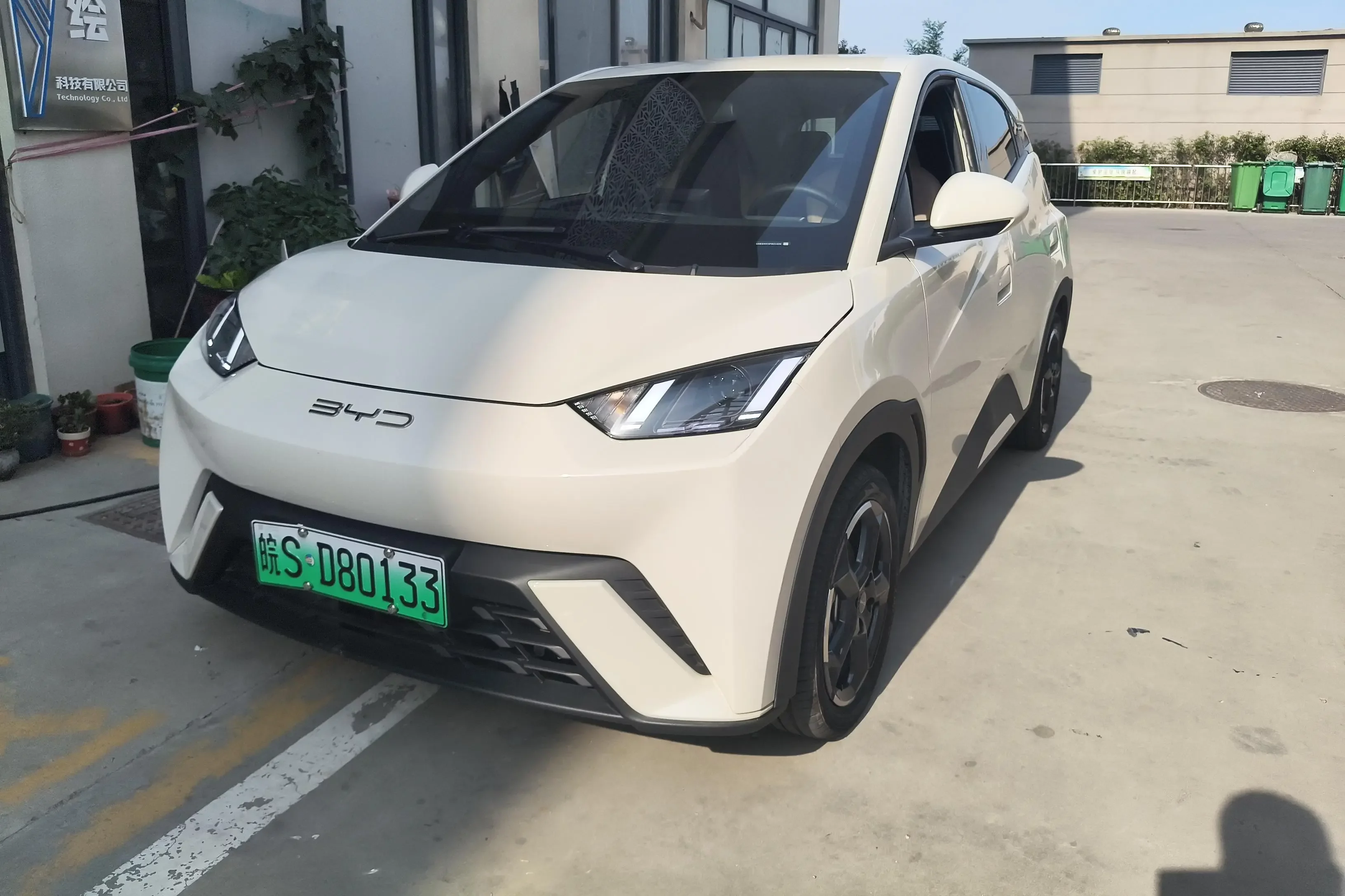 BYD seagull