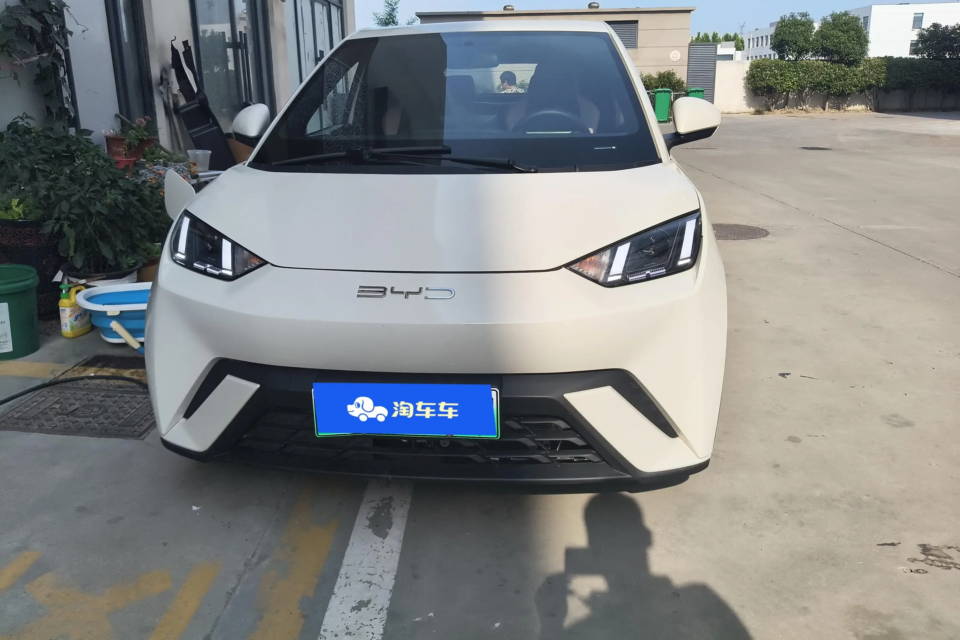 BYD seagull