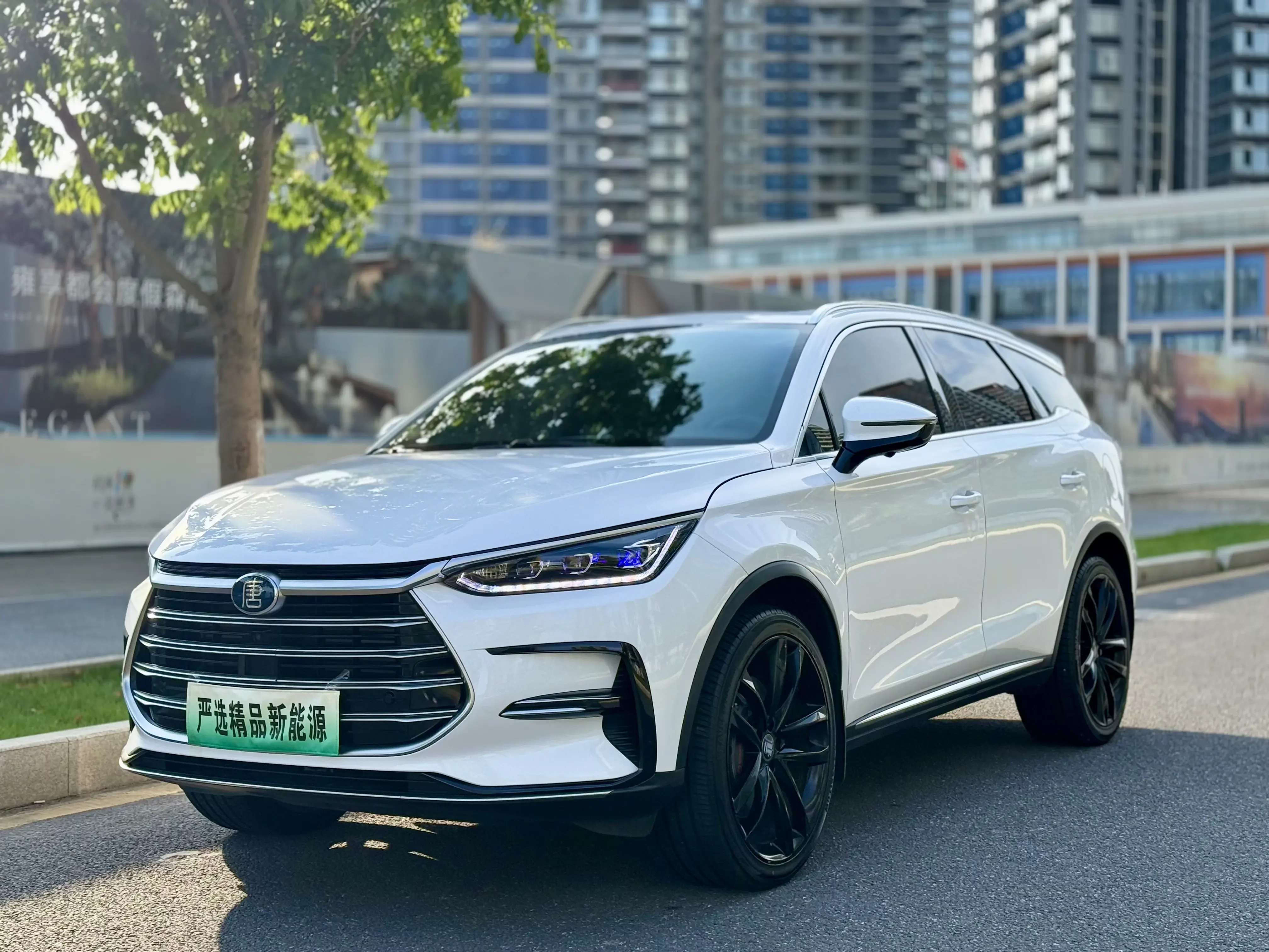 BYD Tang DM