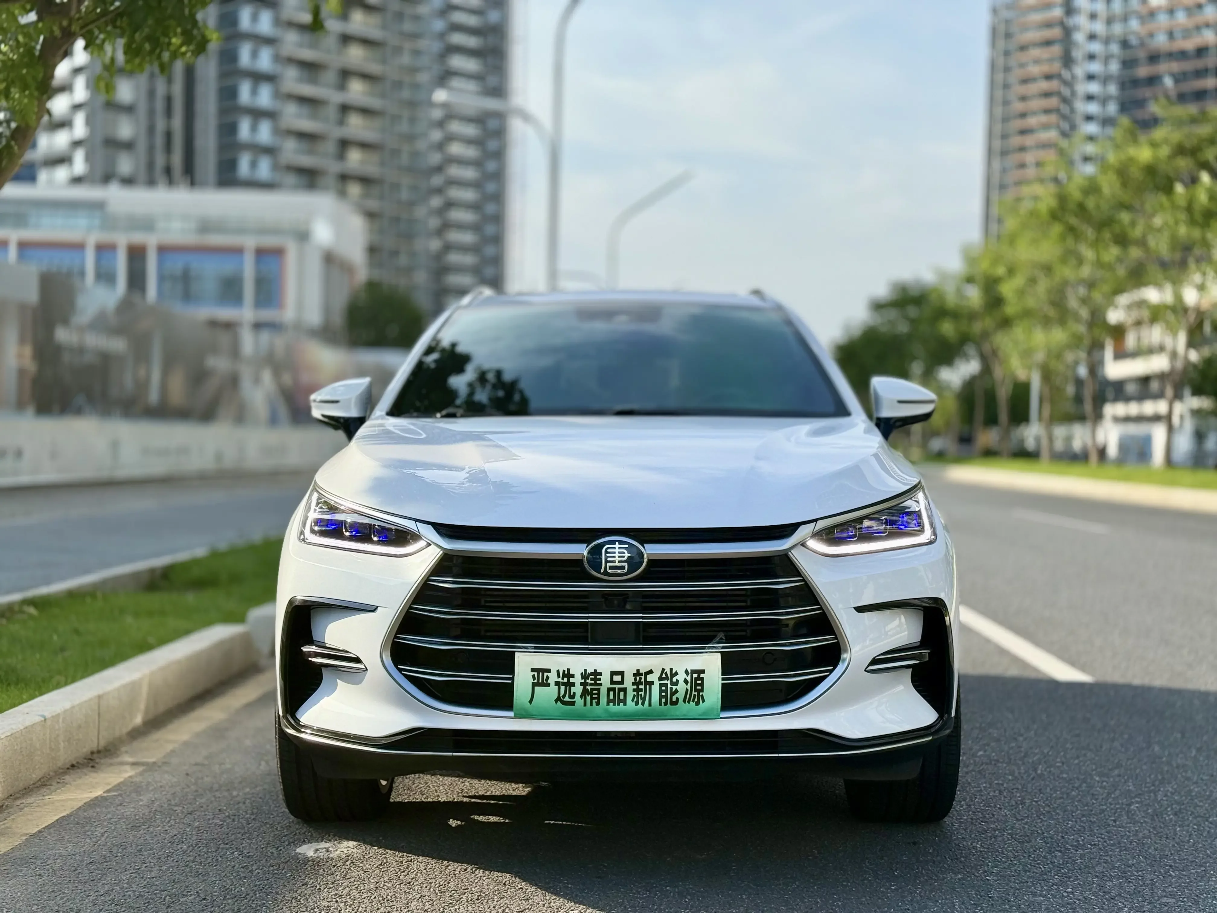 BYD Tang DM