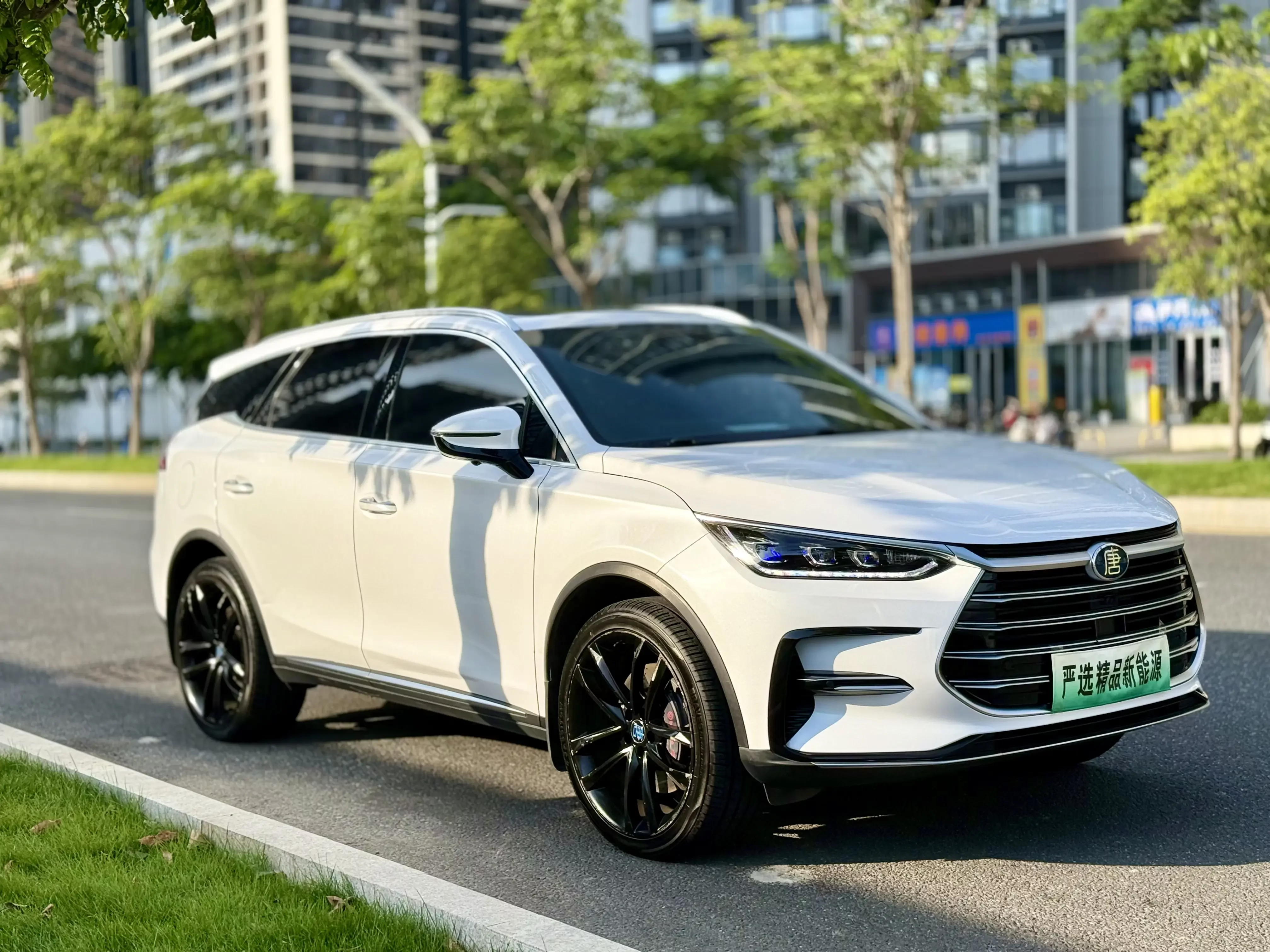 BYD Tang DM
